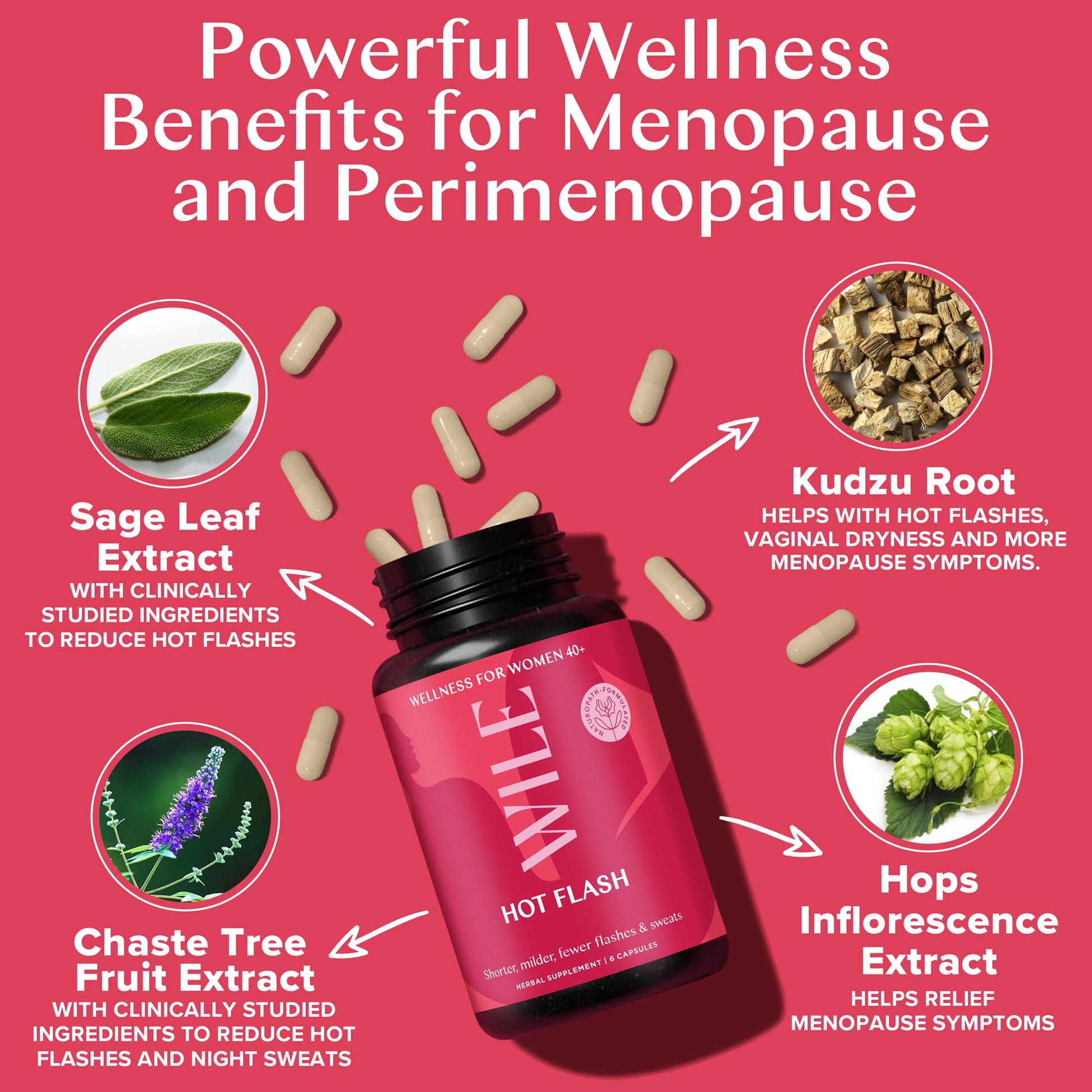 WILE Menopause and Perimenopause Supplements for Women - Hot Flashes and Night Sweats Relief with Kudzu Root - Premenopause Support for Stress, Hot Flash, Hormone Balance & Restful Sleep, 30 Servings WILE buy supplements canada