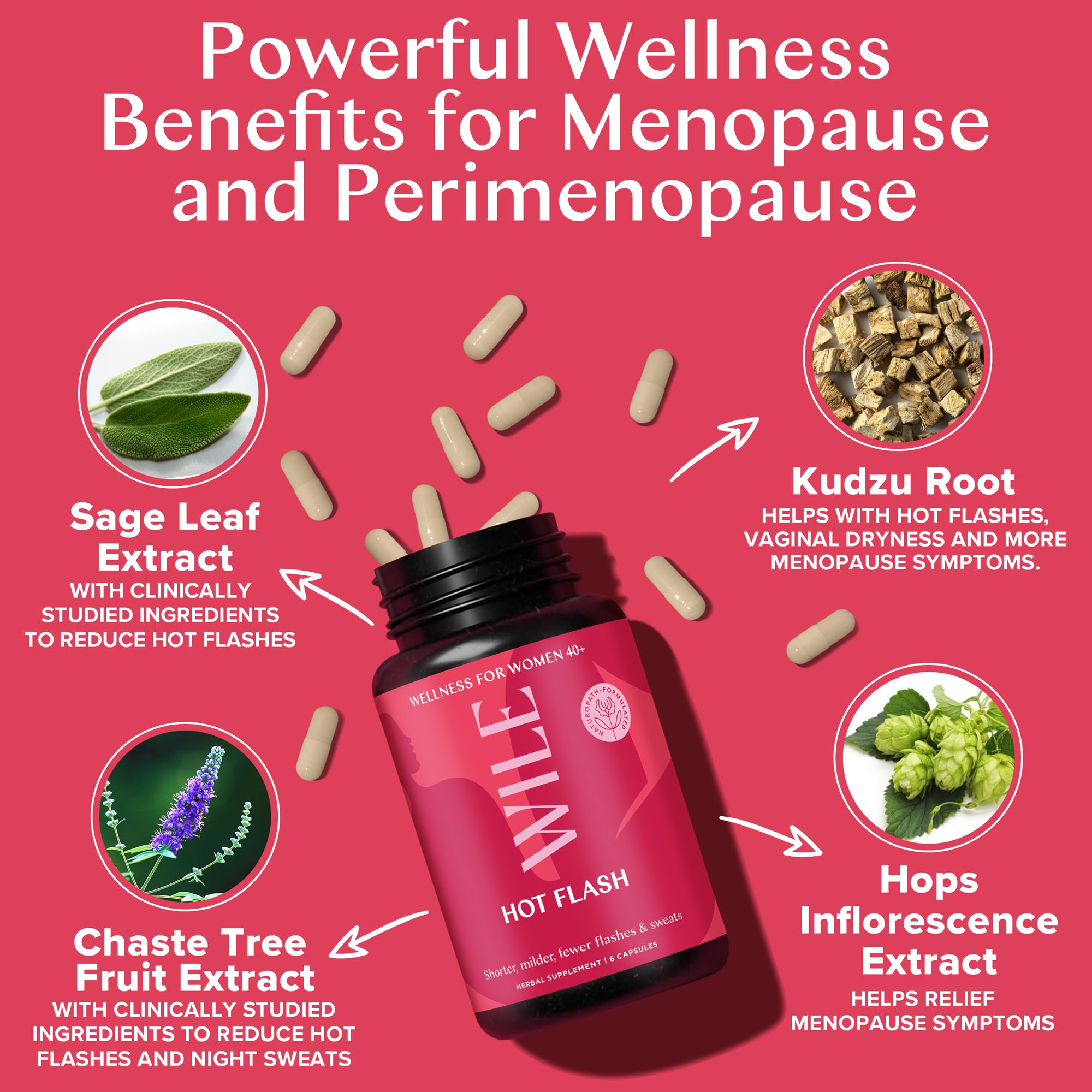 WILE Menopause and Perimenopause Supplements for Women - Hot Flashes and Night Sweats Relief with Kudzu Root - Premenopause Support for Stress, Hot Flash, Hormone Balance & Restful Sleep, 30 Servings WILE buy supplements canada