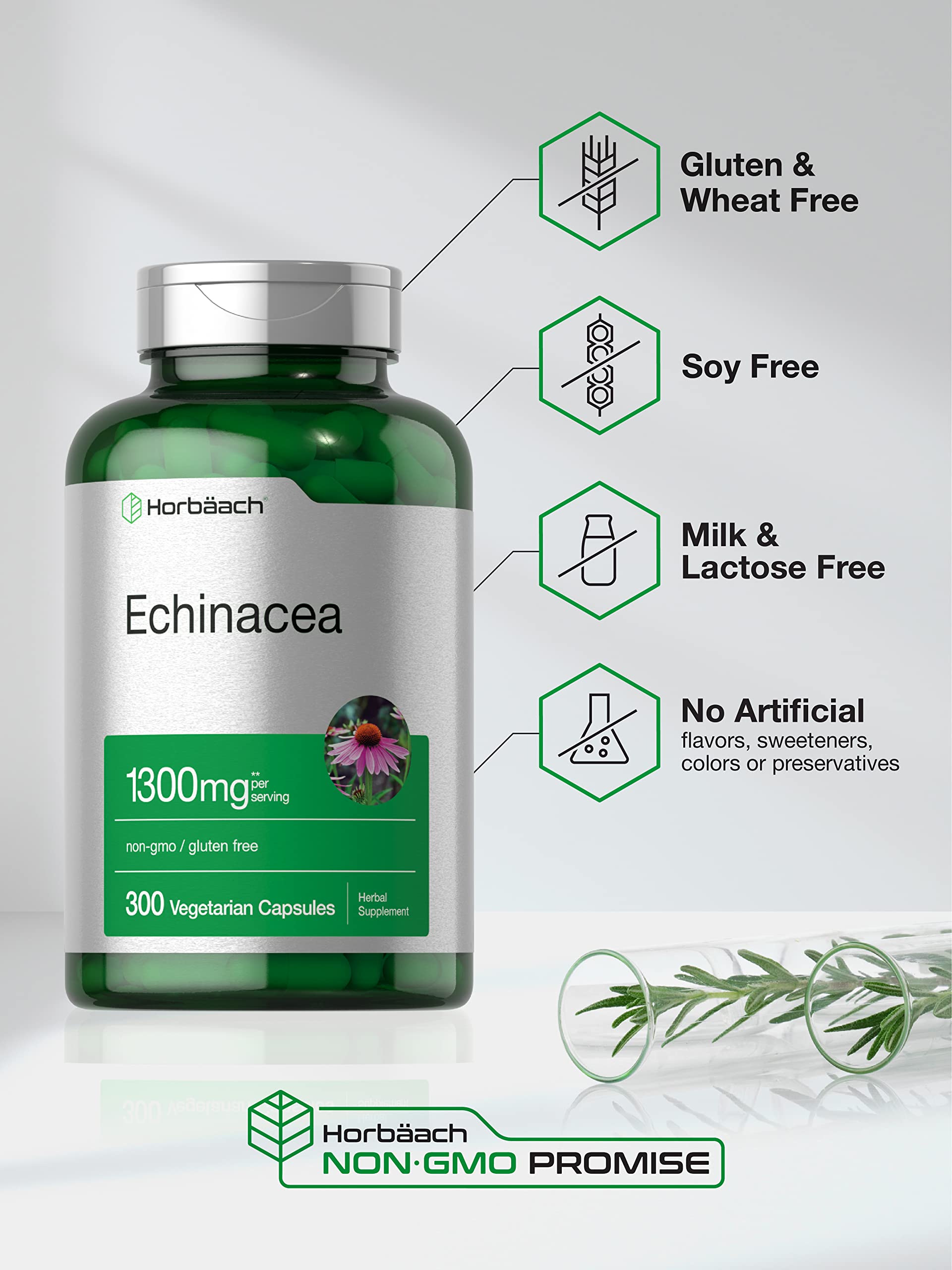 Horbäach Echinacea Extract Capsules | 300 Count | Vegan, Non-GMO, Gluten Free Supplement Horbäach buy supplements canada