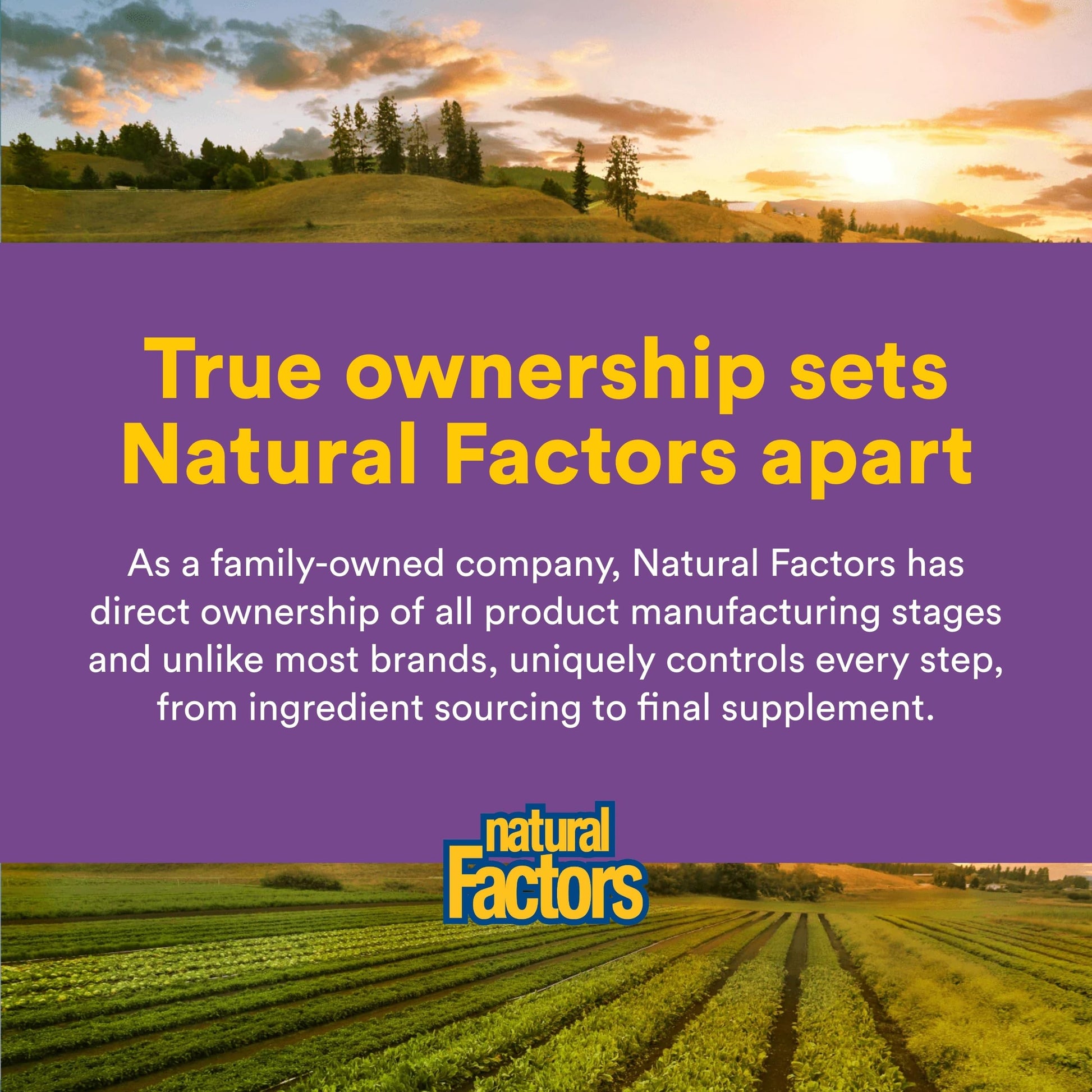 Natural Factors Pharma GABA - Dietary Supplement Supports Calm Sleep & Sleep Quality - Natural, Fast-Working Supplement Aids Focus & Brain Health - 60 Chewable Tablets (60 Servings) Natural Factors buy supplements canada