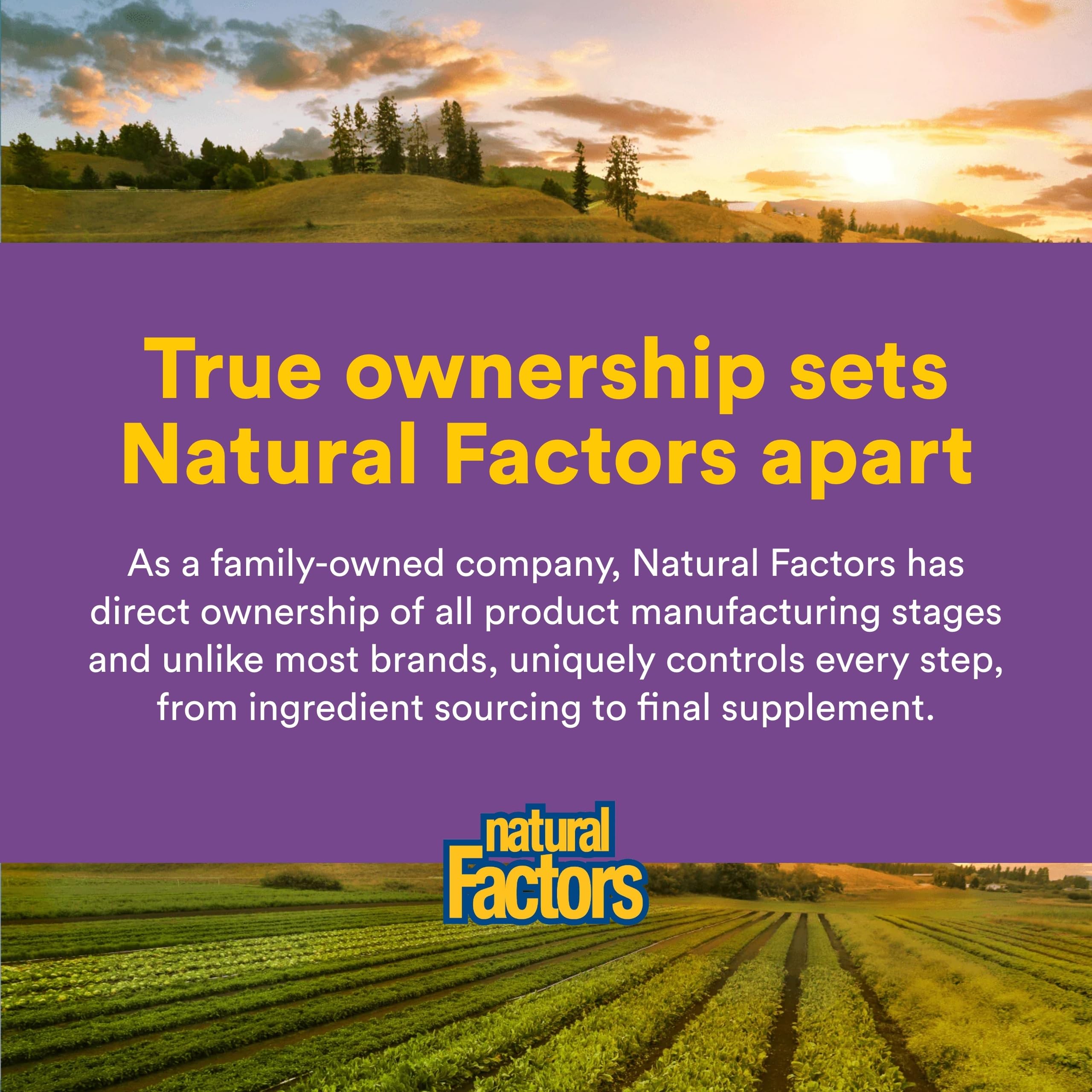 Natural Factors Pharma GABA - Dietary Supplement Supports Calm Sleep & Sleep Quality - Natural, Fast-Working Supplement Aids Focus & Brain Health - 60 Chewable Tablets (60 Servings) Natural Factors buy supplements canada