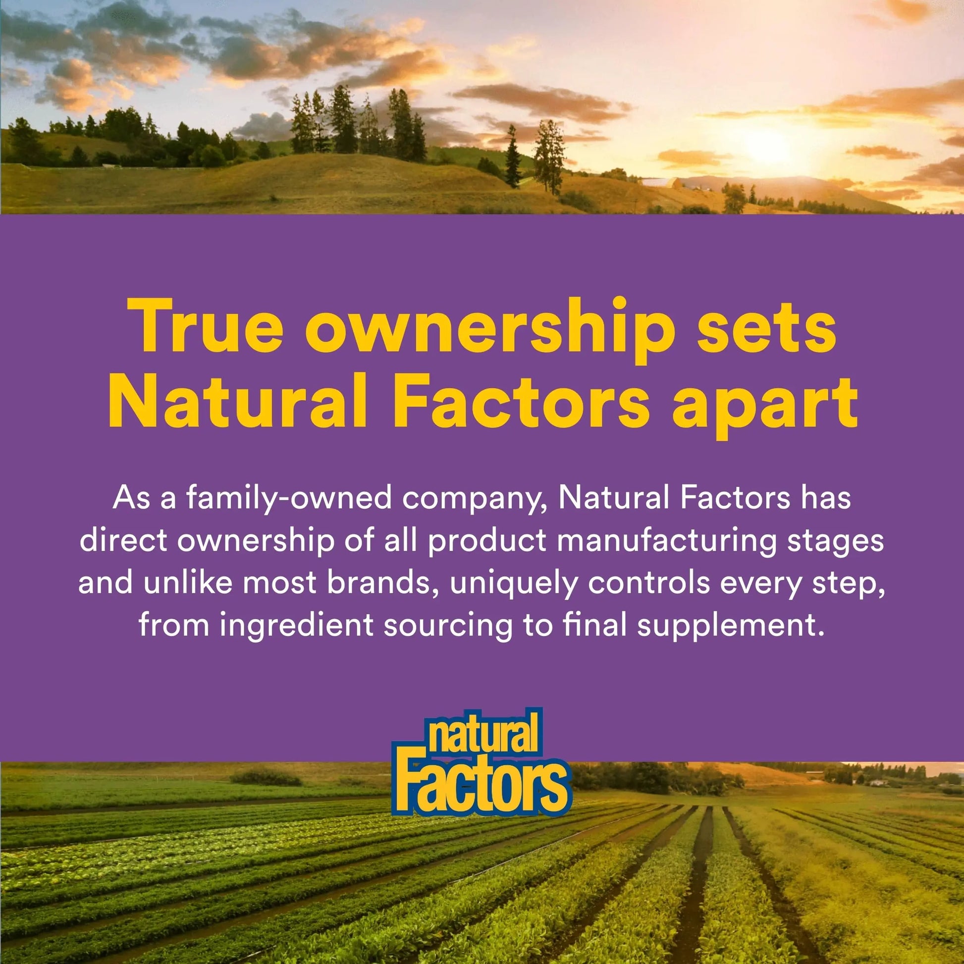 Natural Factors Pharma GABA - Dietary Supplement Supports Calm Sleep & Sleep Quality - Natural, Fast-Working Supplement Aids Focus & Brain Health - 60 Chewable Tablets (60 Servings) Natural Factors buy supplements canada