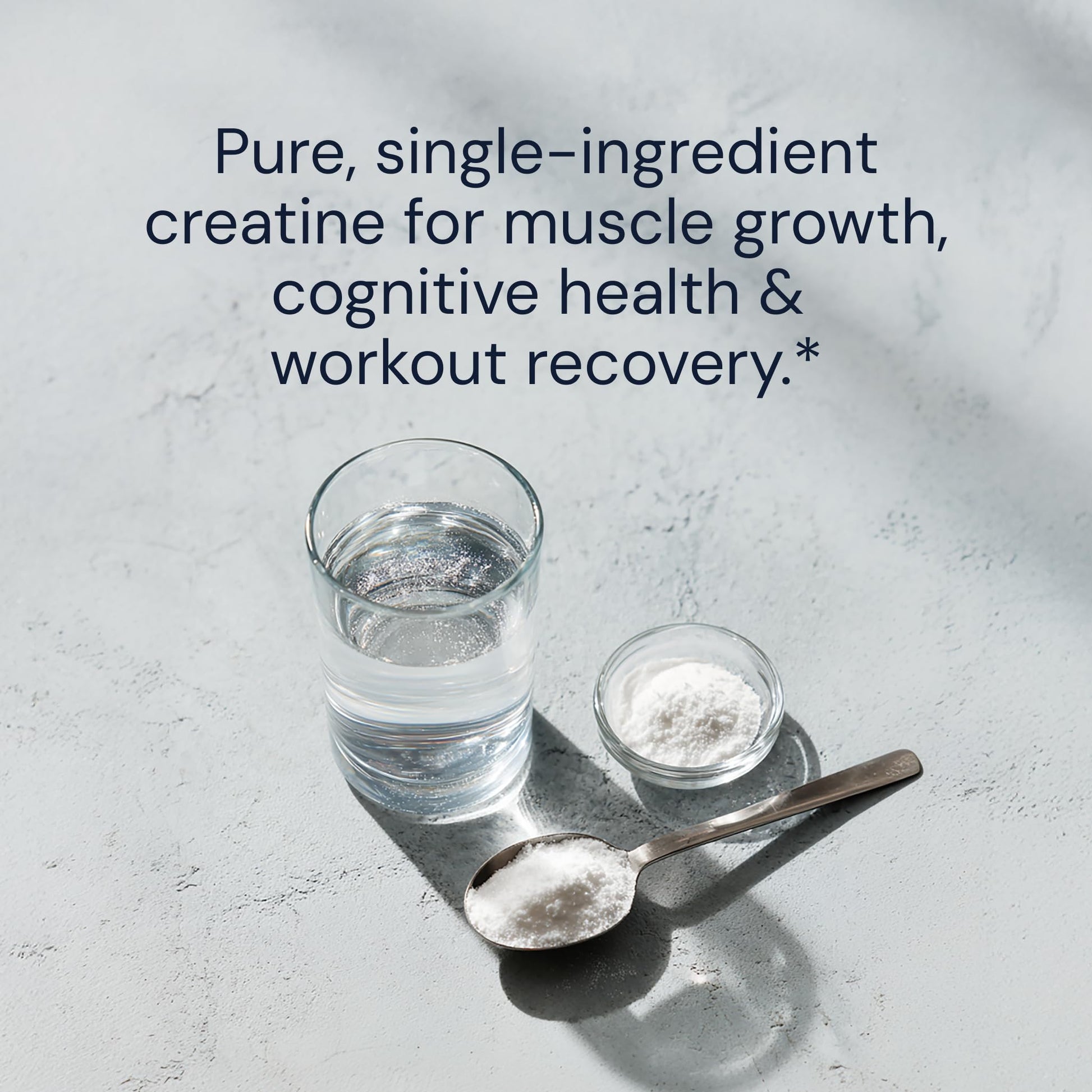 Blueprint Bryan Johnson Creatine Monohydrate Powder – Amino Acid Powder - Supplement Supports Muscle Growth, Recovery, Strength & Focus – Unflavored Creatine for Women & Men – 5g Dose – 100 Servings Blueprint Bryan Johnson buy supplements canada