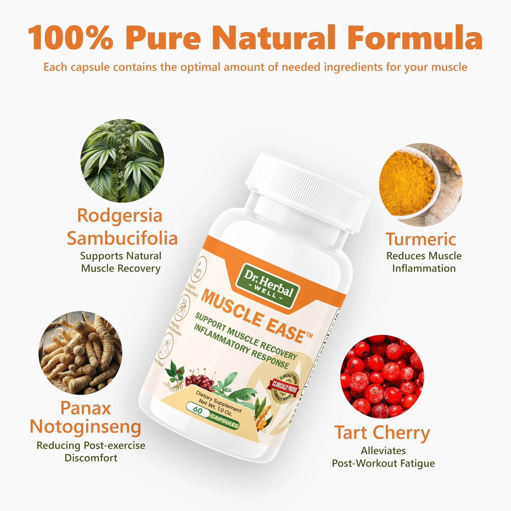 DR.HERBAL WELL Muscle Ease - Joint, Muscle & Nerve Support Fast Acting Relax Comfort Recovery Natural Herbal Supplement - (60 Capsules) MAX-Strength DR. HERBAL WELL buy supplements canada