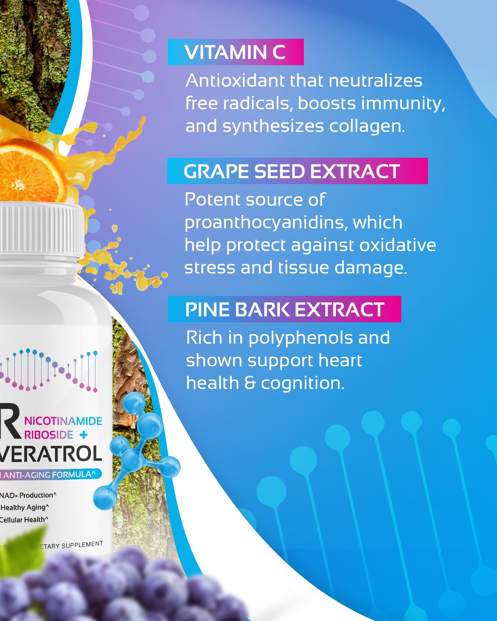 NR + Resveratrol Supplement - Increase NAD, DNA & Cellular Health, Longevity, Vitality. 5-in-1 Anti Aging Formula w/ Nicotinamide Riboside, Trans Resveratrol, Vitamin C, Grape Seed, Pine Bark CogniTune buy supplements canada