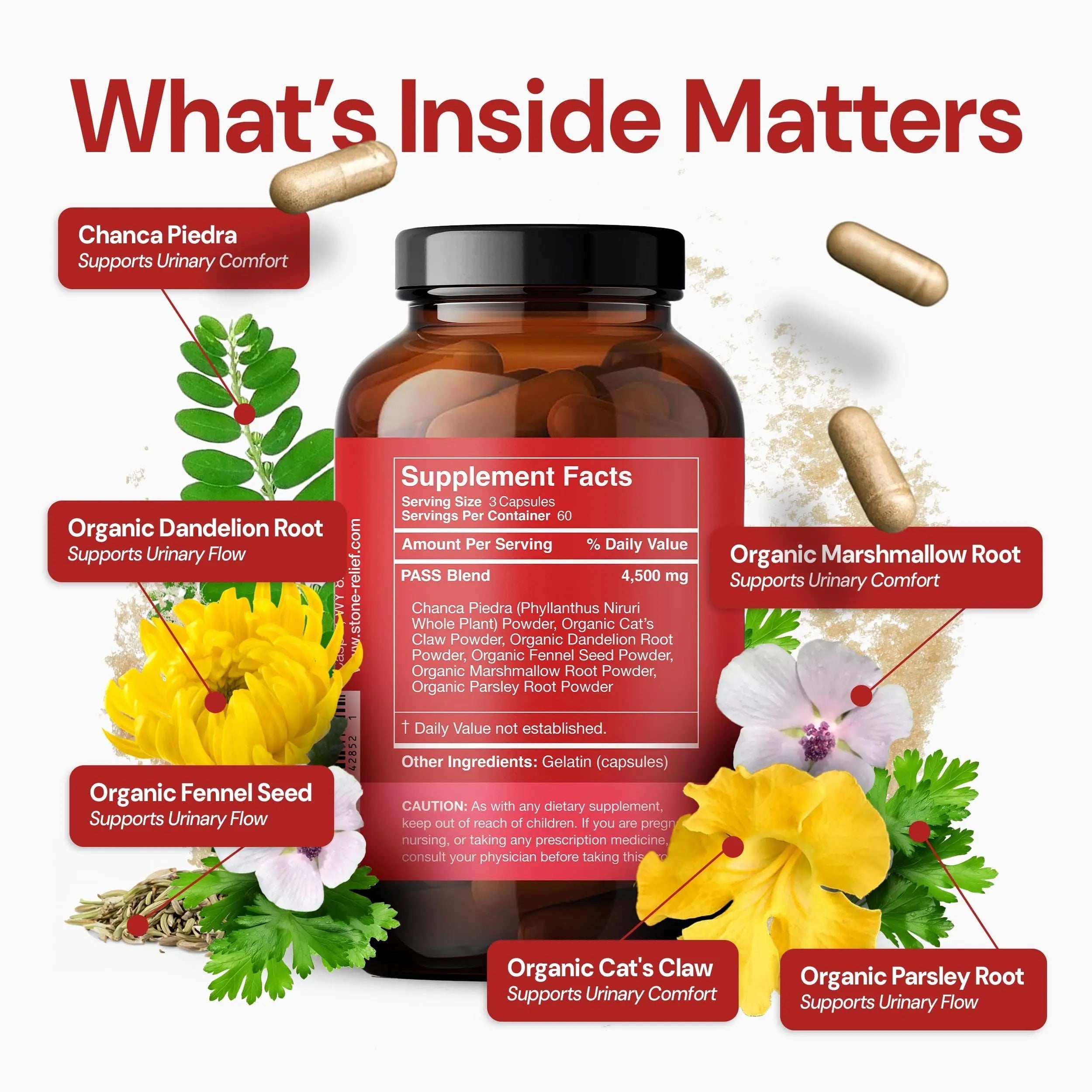 STONE RELIEF Daytime Herbal Kidney Support for Urinary Flow & Comfort | Chanca Piedra Formula – 180 Capsules STONE RELIEF buy supplements canada