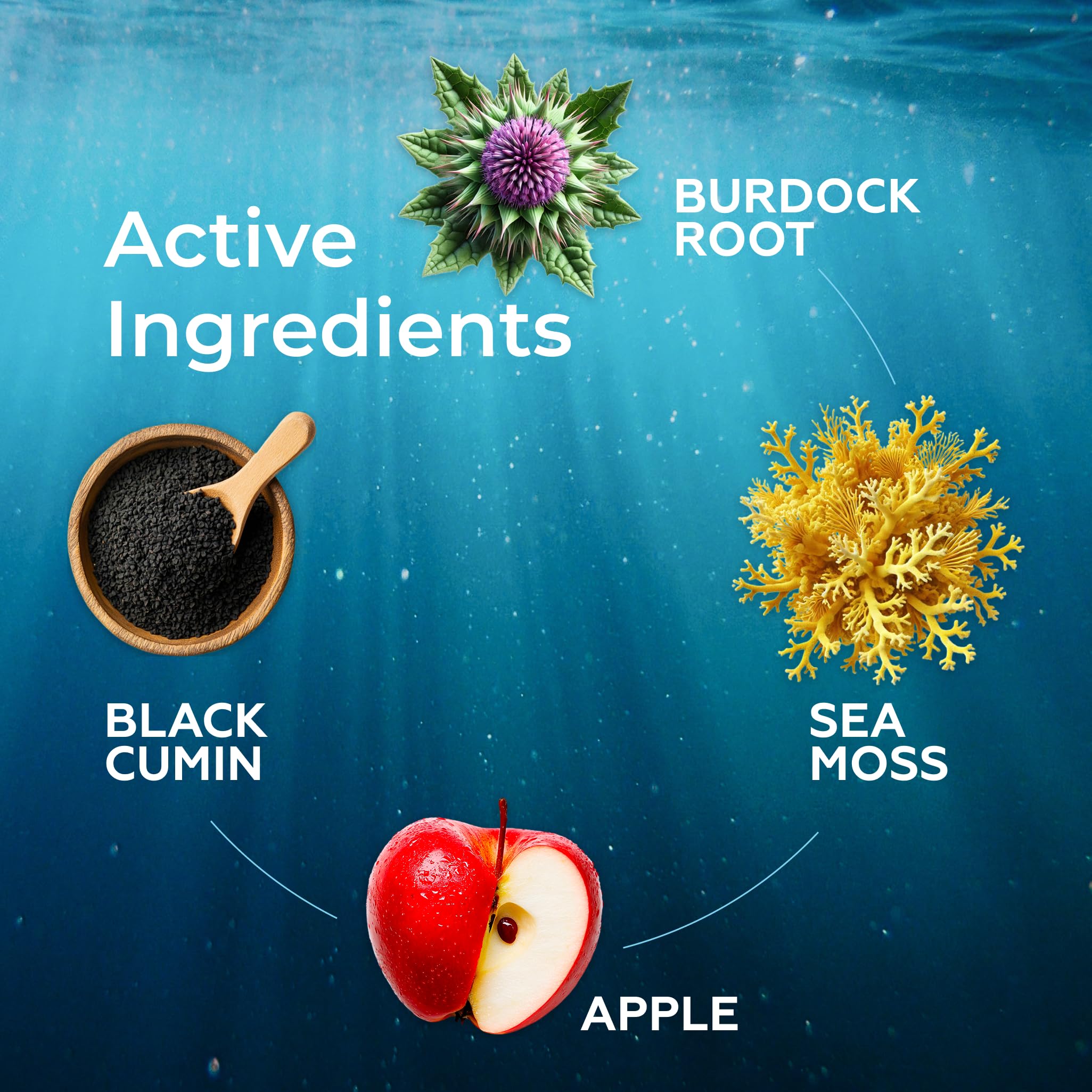 Irish Sea Moss Liquid Drops - 3000mg Formula - with Bladderwrack, Burdock Root & Black Cumin Seed - Liquid Supplement - Apple Flavor - 2 Fl Oz (60ml) TrueSeaMoss buy supplements canada