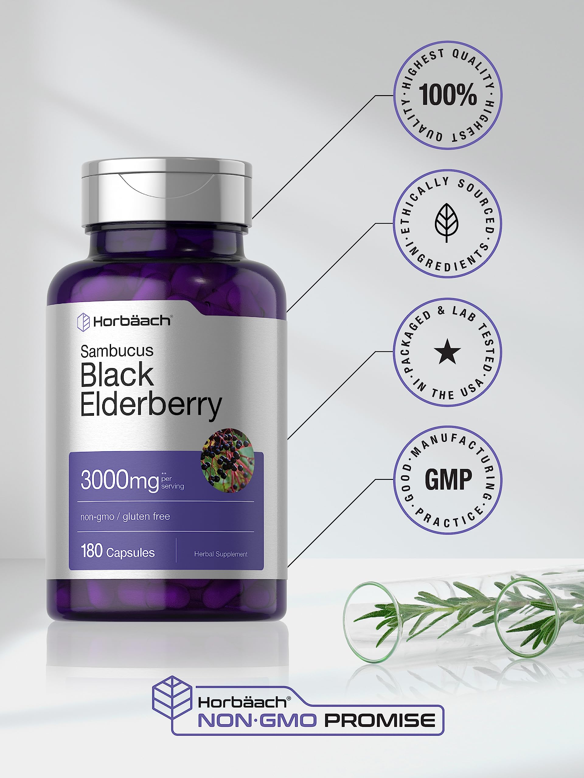 Horbäach Black Elderberry | 180 Count | Non-GMO, Gluten Free | Sambucus Extract Supplement Horbäach buy supplements canada