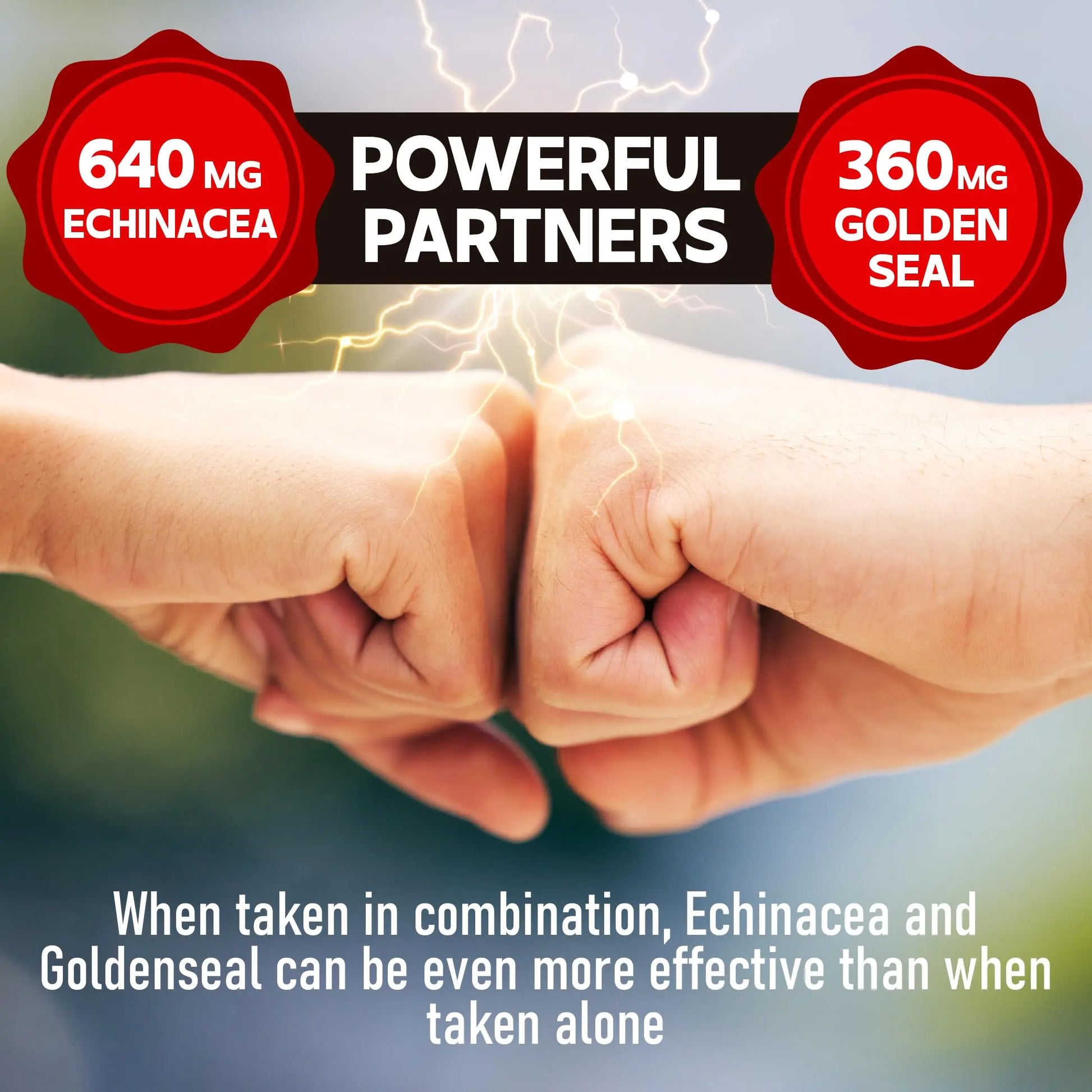 DEDICAD 1000mg Echinacea Goldenseal Capsules - Support Immune System, Well-Being & Overal Health - 60 Veggie Capsules - Non-GMO, Gluten-Free DEDICAD buy supplements canada