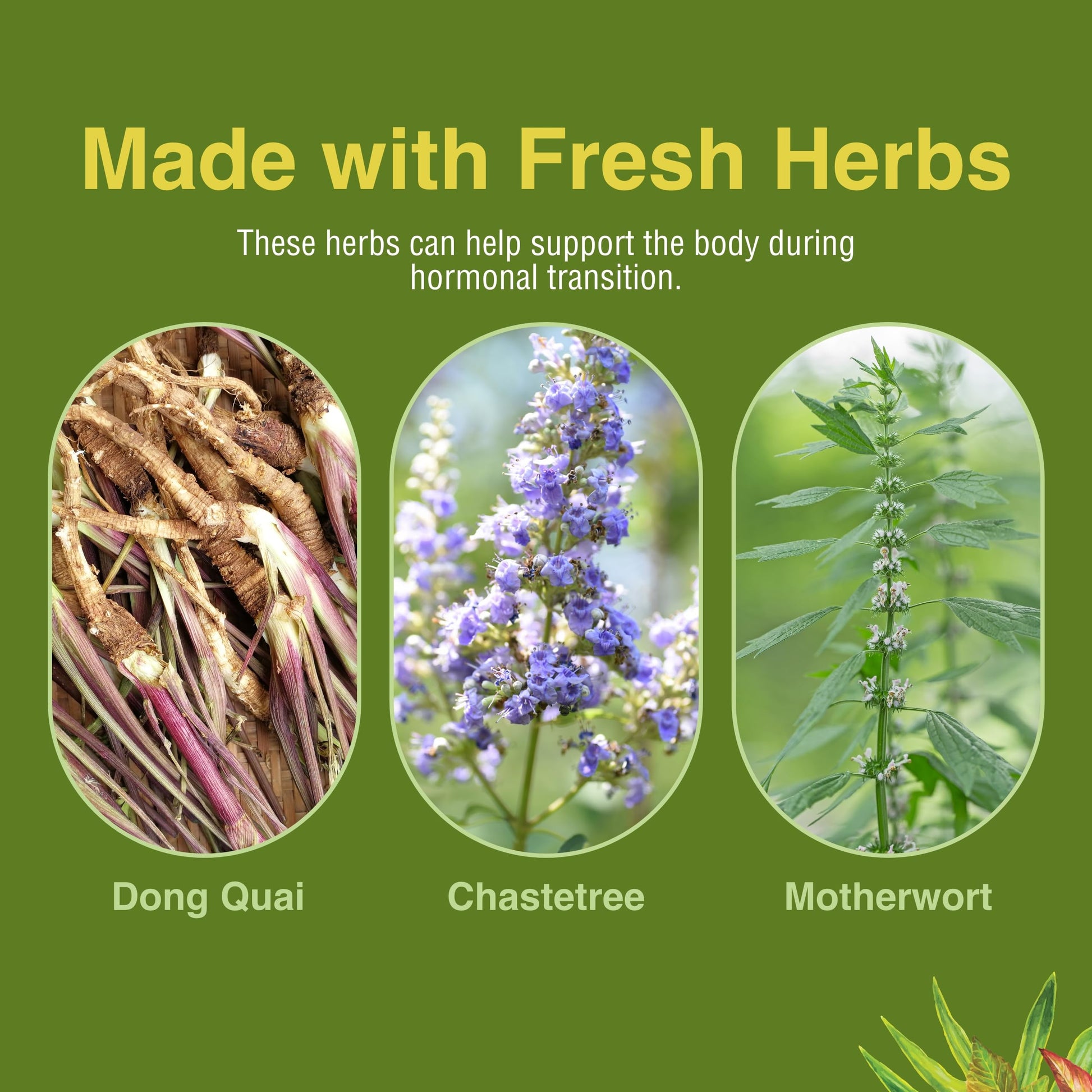 Herbs Etc. Menopautonic Softgels - Essential Supplement for Women - Hormonal Transition Support Supplement - Offers Menopausal Support with Dong Quai & Motherwort - 120 Softgels (120 Servings) Herbs Etc. buy supplements canada