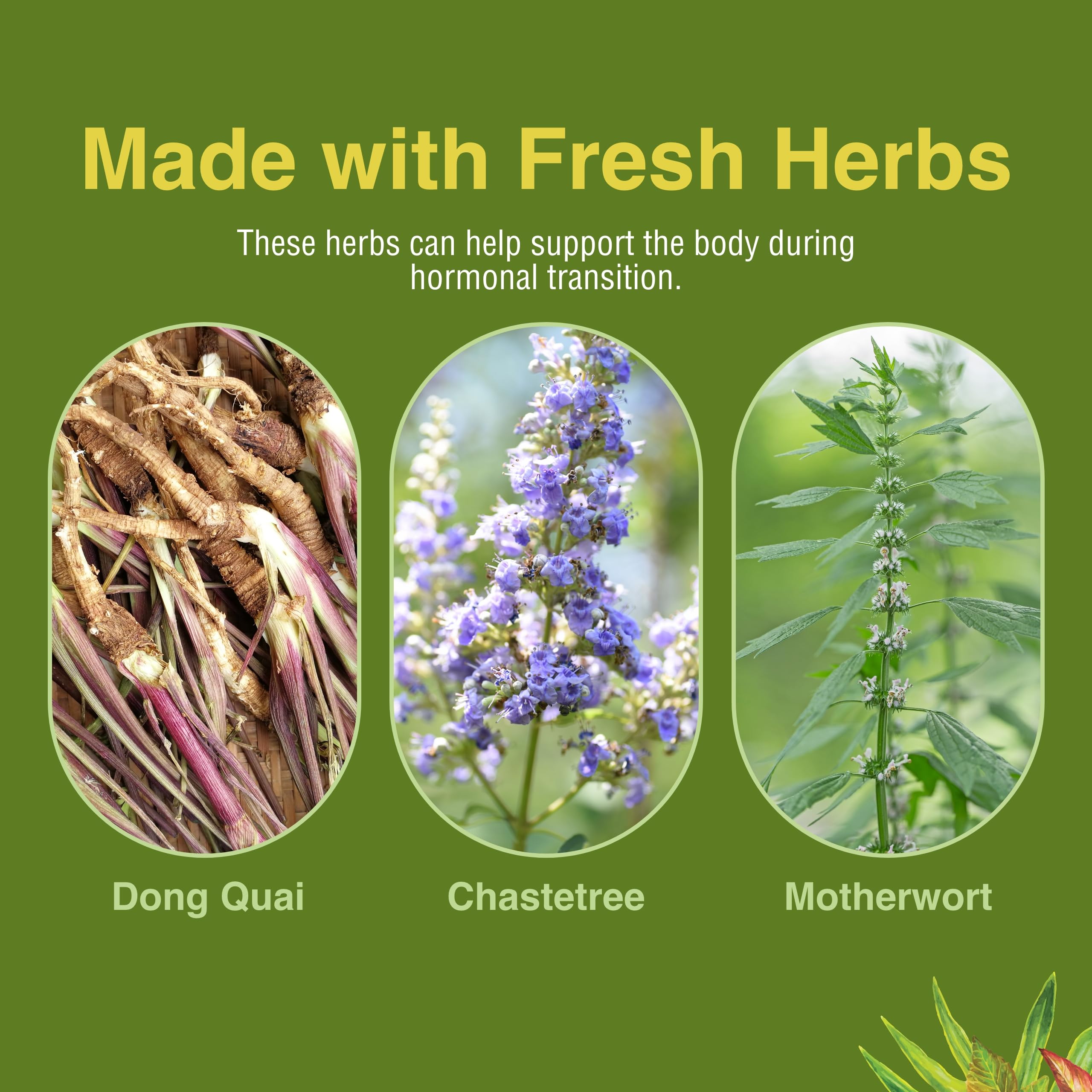 Herbs Etc. Menopautonic Softgels - Essential Supplement for Women - Hormonal Transition Support Supplement - Offers Menopausal Support with Dong Quai & Motherwort - 120 Softgels (120 Servings) Herbs Etc. buy supplements canada