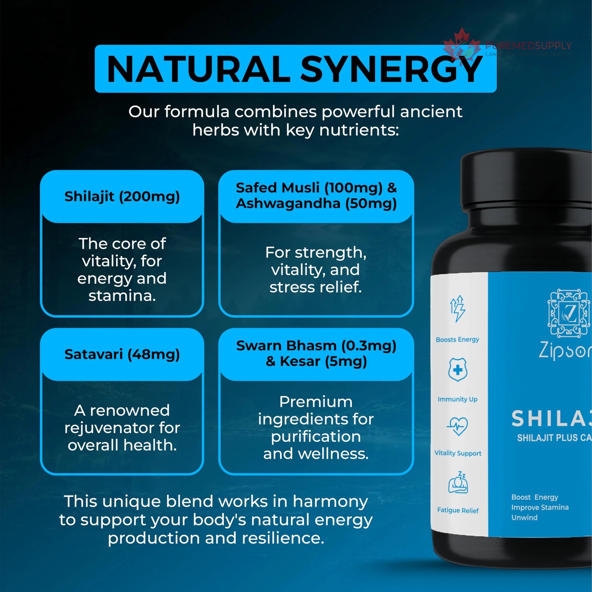 ZIPSON Shilajit for Men & Women | 90 Capsules | Himalayan Formula for Extra Power, Stamina & Immune Support | with Natural Fulvic Acid | Non-GMO | 500mg Per Serving ZIPSON buy supplements canada
