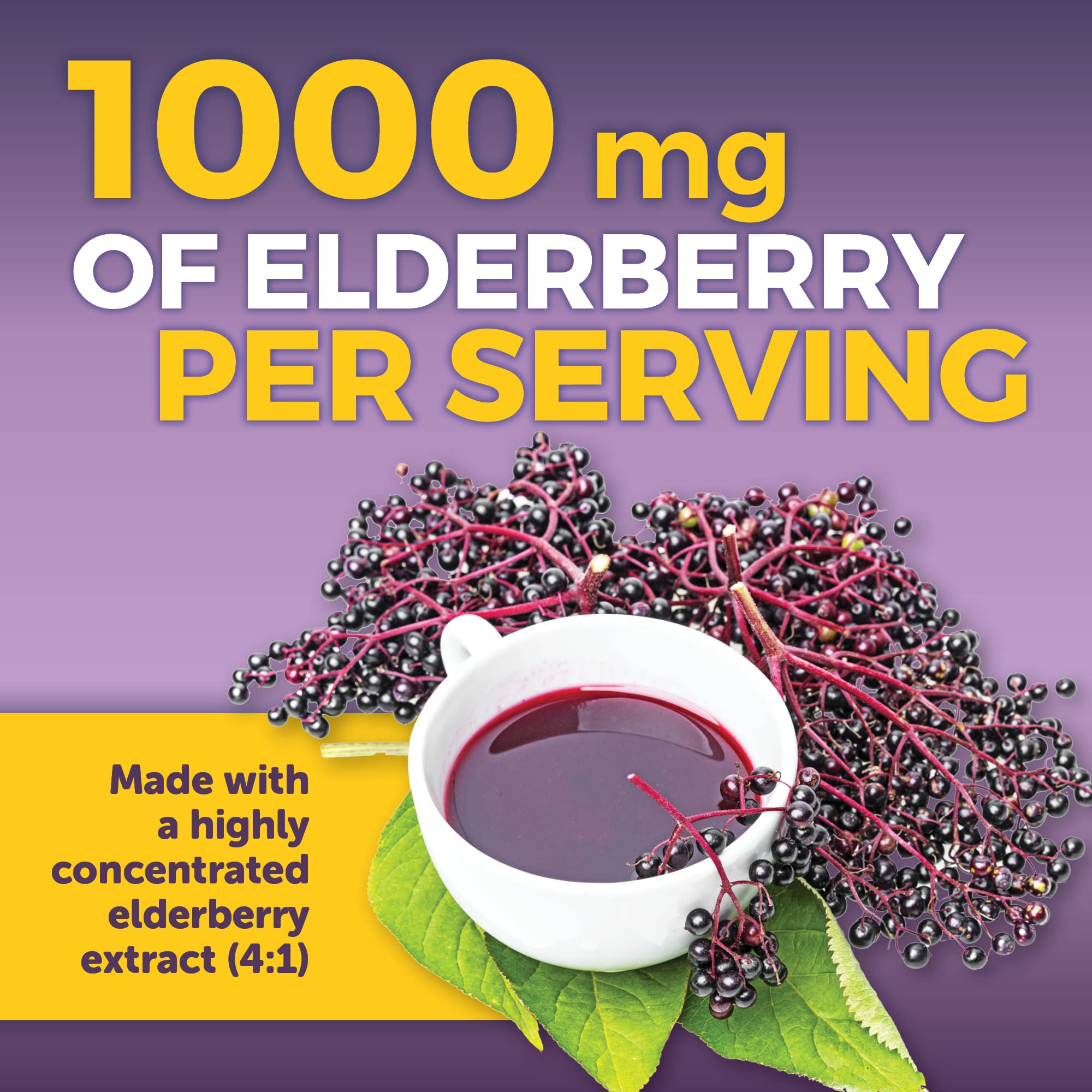 Viva Naturals Elderberry with Vitamin C and Zinc for Adults - 5 in 1 Sambucus Black Elderberry Capsules with Vitamin D3 5000 IU Immunity Supplement Viva Naturals buy supplements canada