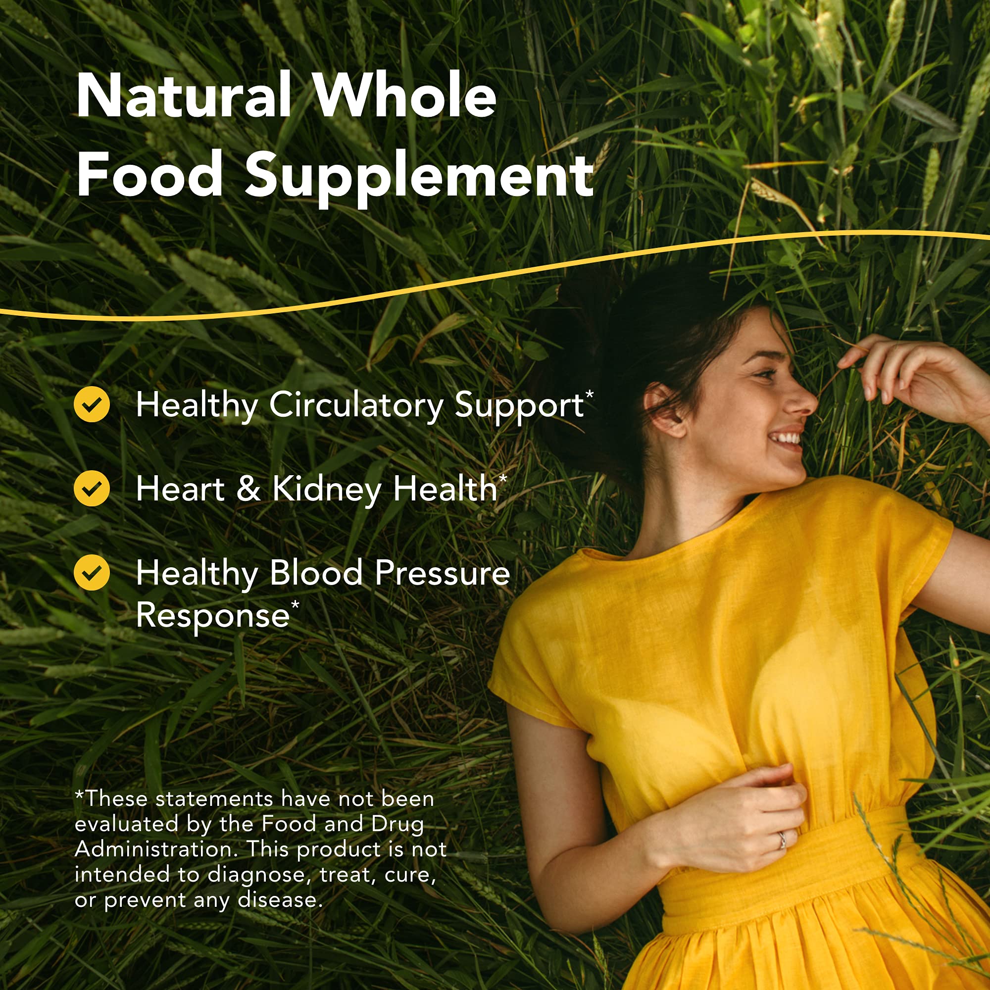 NORTH AMERICAN HERB & SPICE Hyper-eeZ - 90 Vegi Caps - Herbs, Spices, Flowers, Berry Blend - Blood Pressure & Circulation Support - Assists with Heart, Circulation, Kidneys - Non-GMO - 90 Servings NORTH AMERICAN HERB & SPICE buy supplements canada