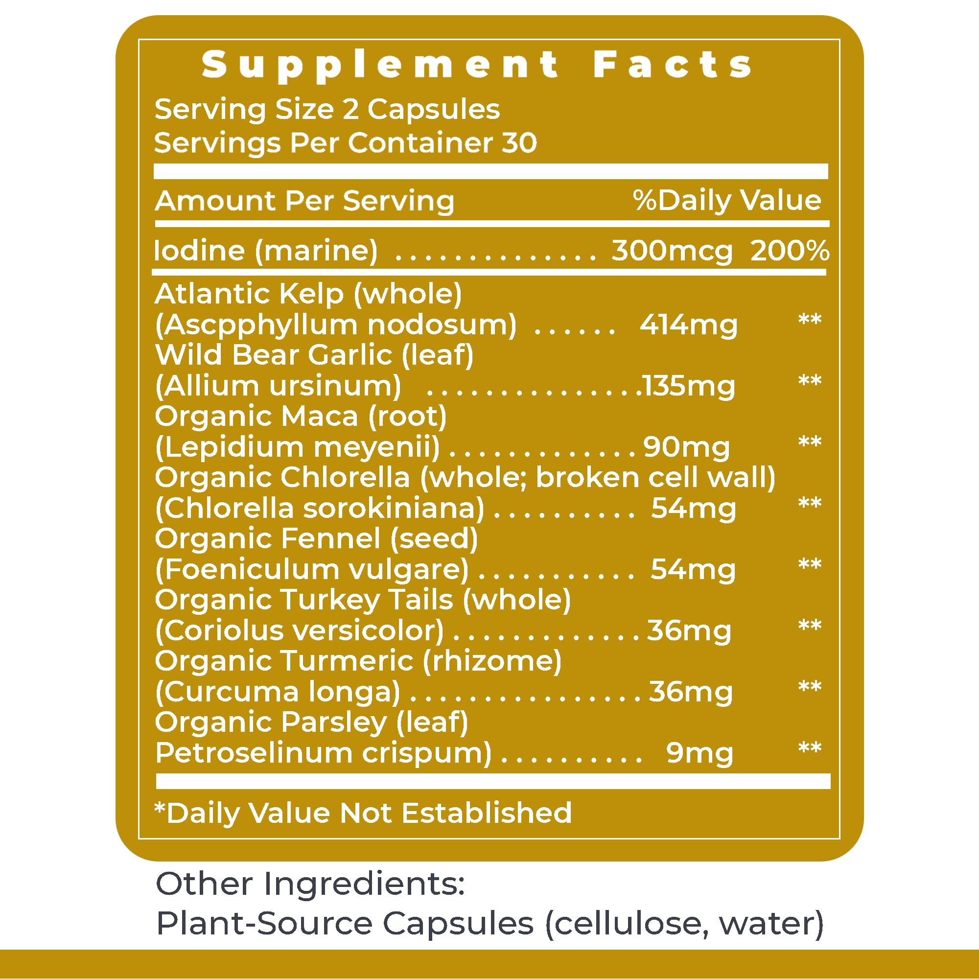 Premier Research Labs ThyroVen - Thyroid Support for Women, Thyroid Support for Men, Thyroid Supplement, Thyroid Support Complex with Naturally-Sourced Iodine - 60 Capsules Premier Research Labs buy supplements canada