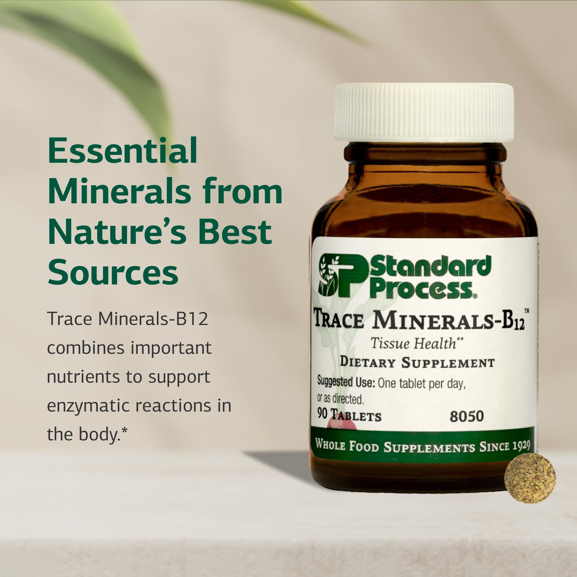 Standard Process Trace Minerals-B12 - Thyroid & Cell Functioning Support with Iodine, Zinc & Copper - Cartilage & Bone Health Aid - Non-Dairy & Non-Soy - 90 Tablets (90 Servings) Standard Process Inc. buy supplements canada