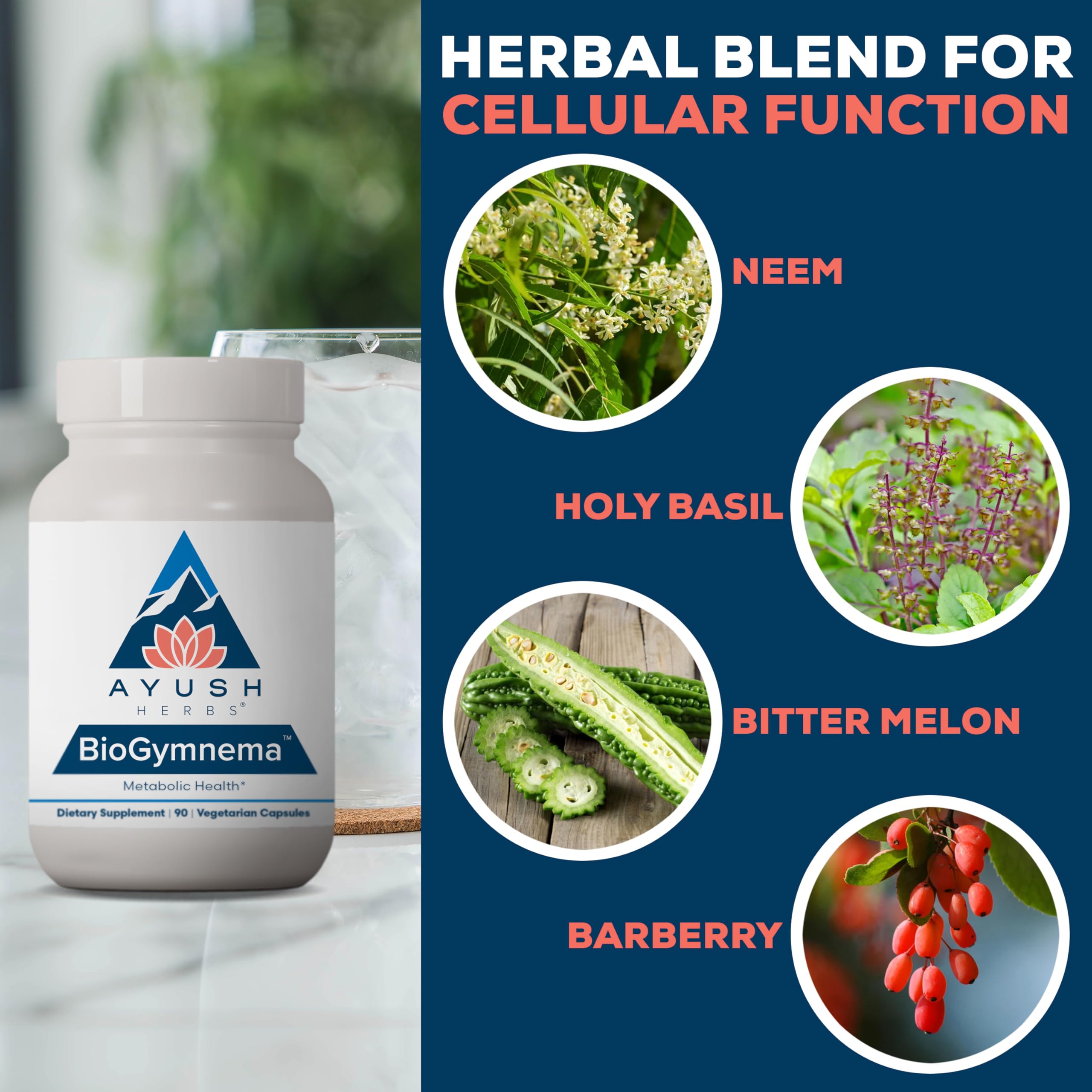 Ayush Herbs BioGymnema - Metabolic Vitamin & Herb Blend, Metabolic Health Supplement for Women & Men with Biotin, Berberine, Bitter Melon & Gymnema, Nutrient Support - 90 Servings Ayush Herbs buy supplements canada