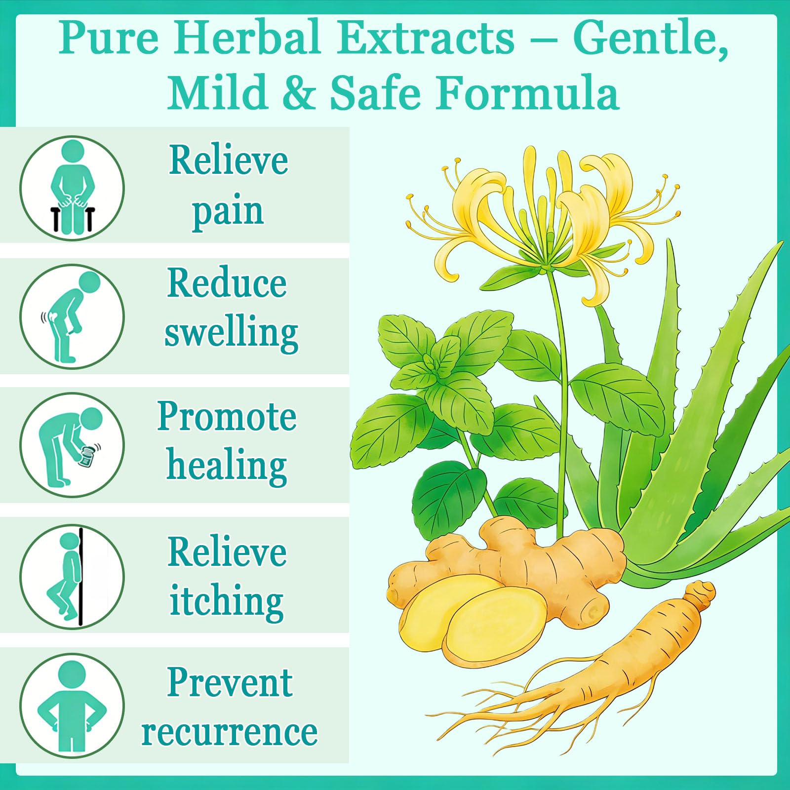 Hushblade Hemorrhoid Body Cream, Natural Herbal Hemorrhoid Cream, for Men and Women Moisturizing and Nourishing Hushblade buy supplements canada