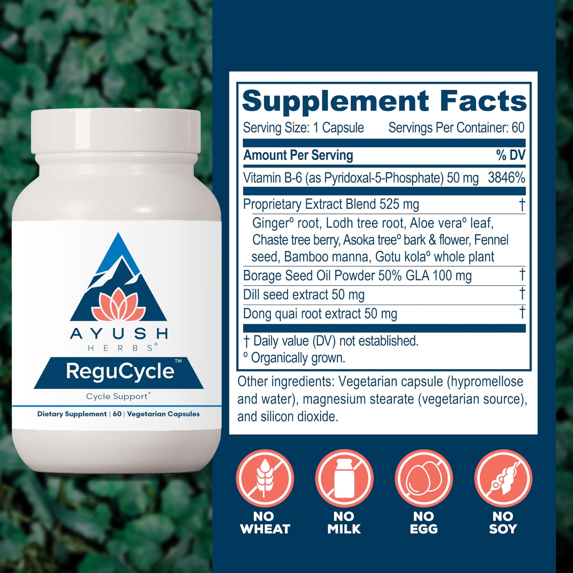 Ayush Herbs Regu-Cycle - Hormone Balance for Women, Hormonal Support, Period Support & Relief, Reproductive Health, Regulate Menstrual Cycle, Ovarian Support Supplement - 60 Vegetarian Capsules Ayush Herbs buy supplements canada