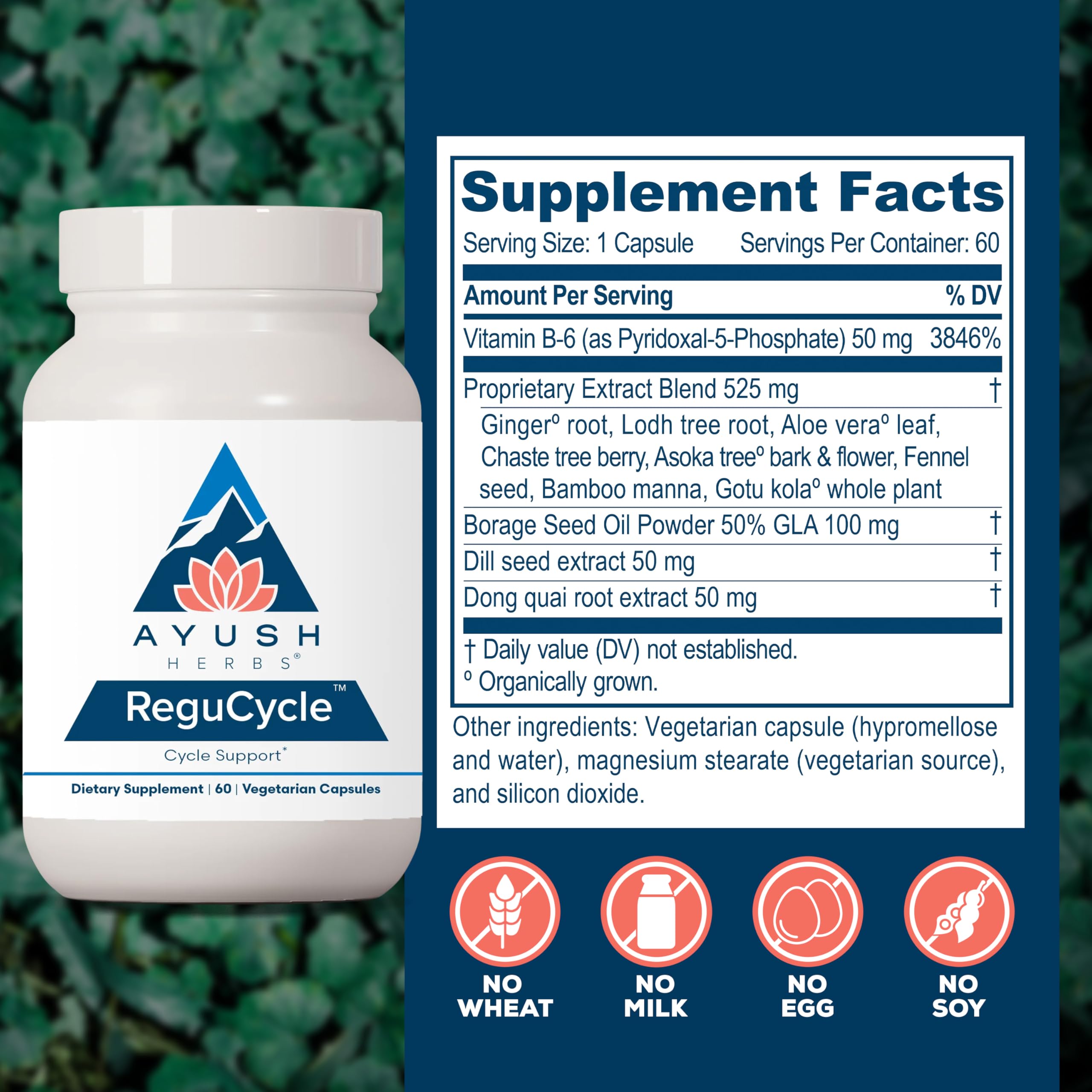 Ayush Herbs Regu-Cycle - Hormone Balance for Women, Hormonal Support, Period Support & Relief, Reproductive Health, Regulate Menstrual Cycle, Ovarian Support Supplement - 60 Vegetarian Capsules Ayush Herbs buy supplements canada