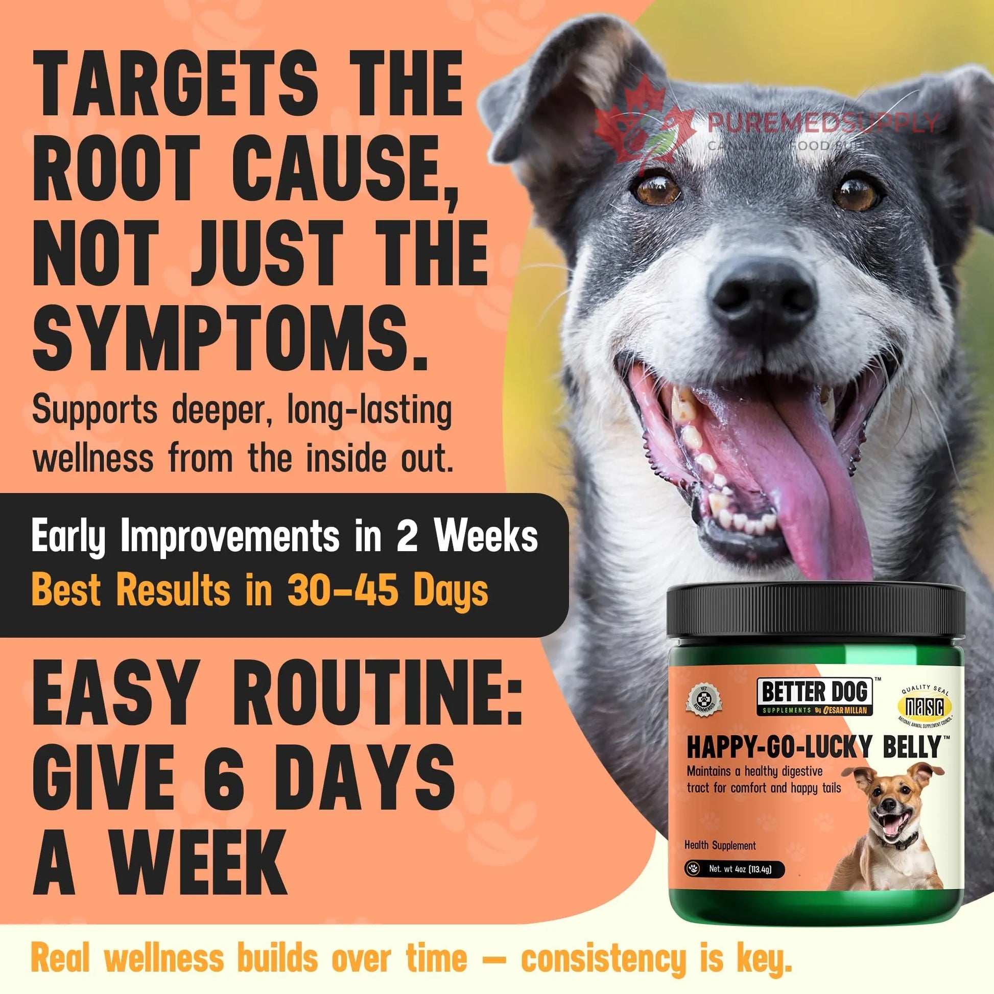 Better Dog Supplements Happy-Go-Lucky Belly by Cesar Millan - Natural Dog Digestive Support Powder – Dog Constipation Relief, Gut Balance & Regularity with Herbal Fiber for Dogs – 4oz (60-Day Supply) Better Dog Supplements By Cesar Millan buy supplements canada