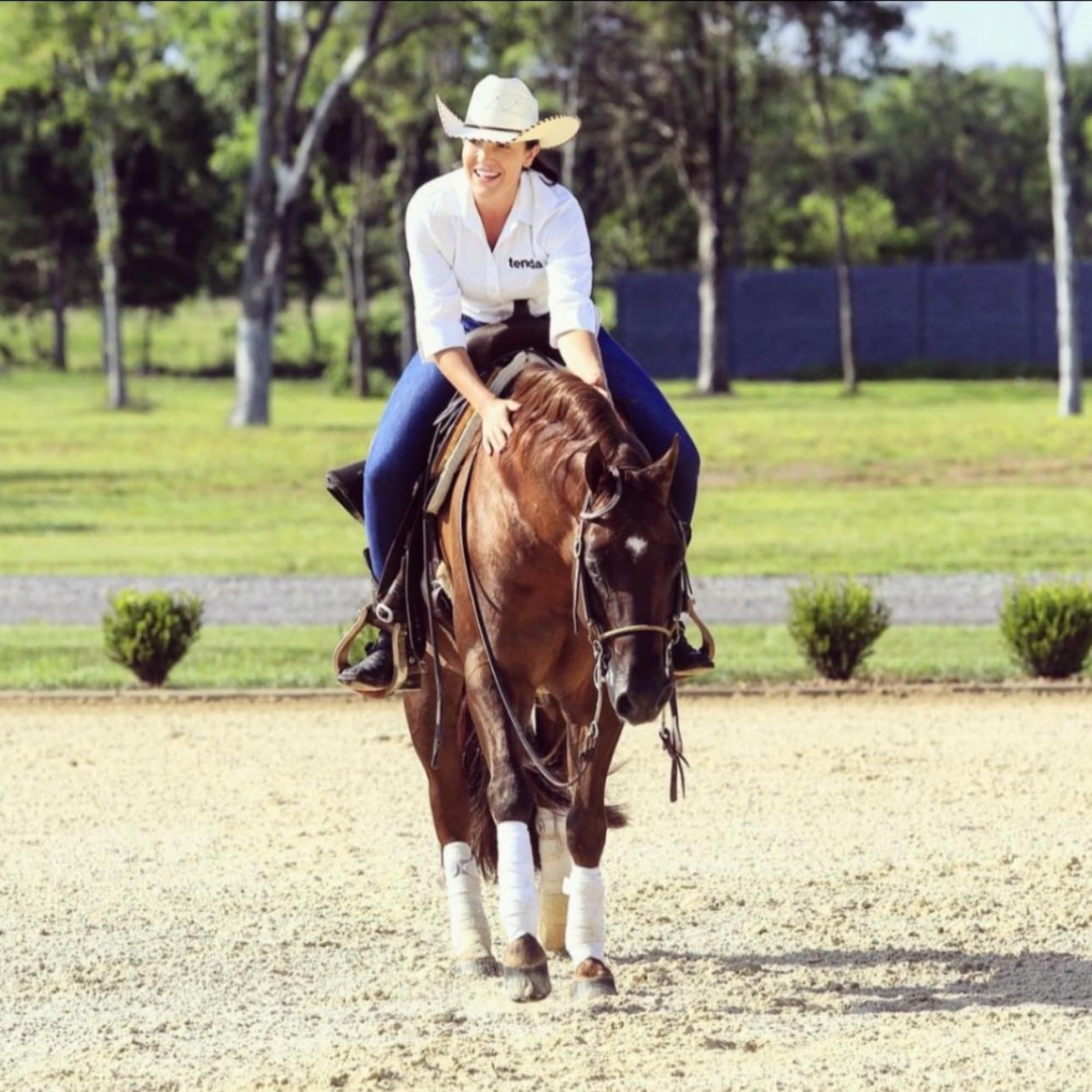 Tenda Liniment Gel - Designed to Provide Temporary Soothing, Relief for Sore and Stiff Muscles Tenda Horse Products buy supplements canada