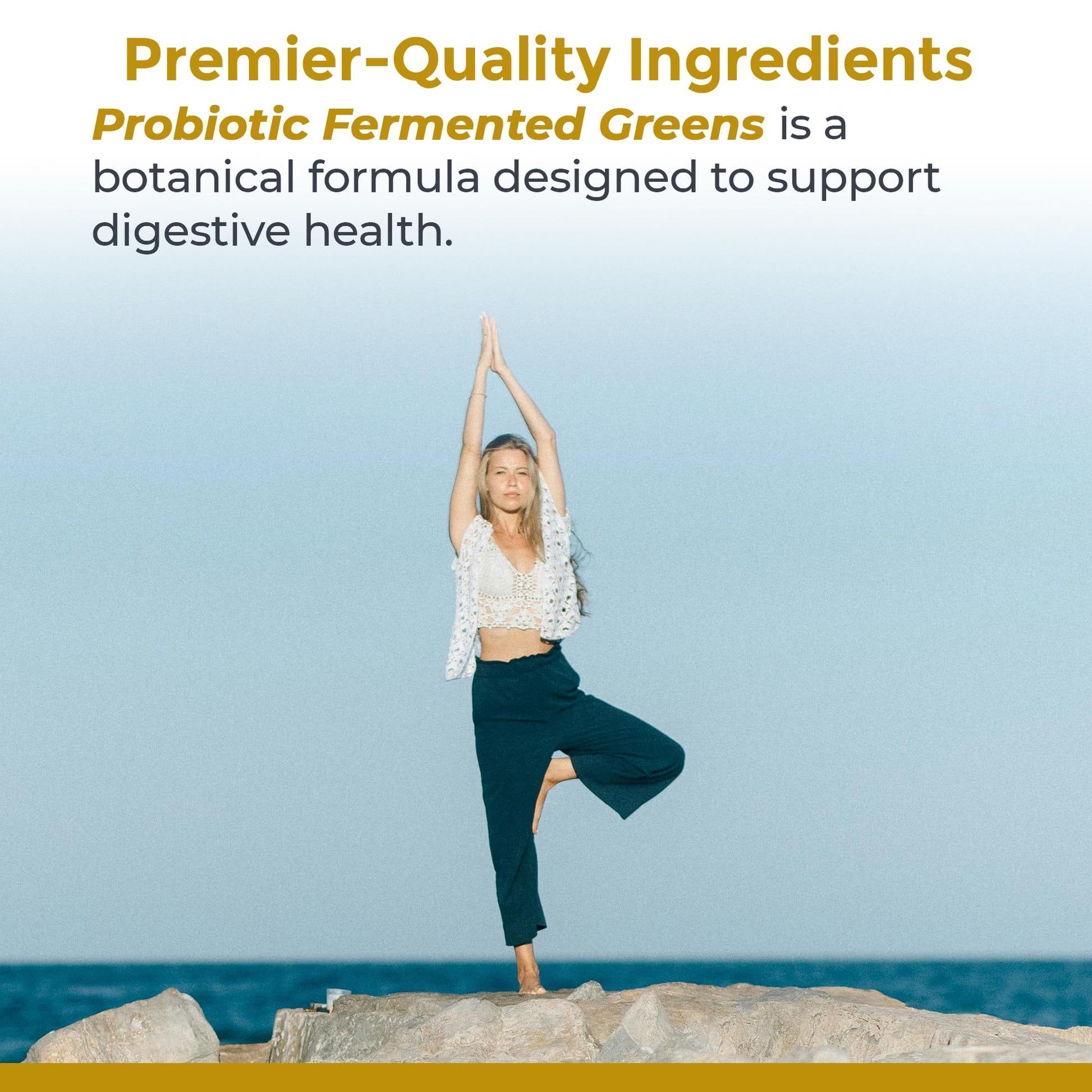 Premier Research Labs Probiotic Fermented Greens - Super Greens Supplement, Superfood Blend, Organic Vitamins with Probiotic - Daily Greens with Spinach, Chlorella, & More - 150 Powder Filled Capsules Premier Research Labs buy supplements canada
