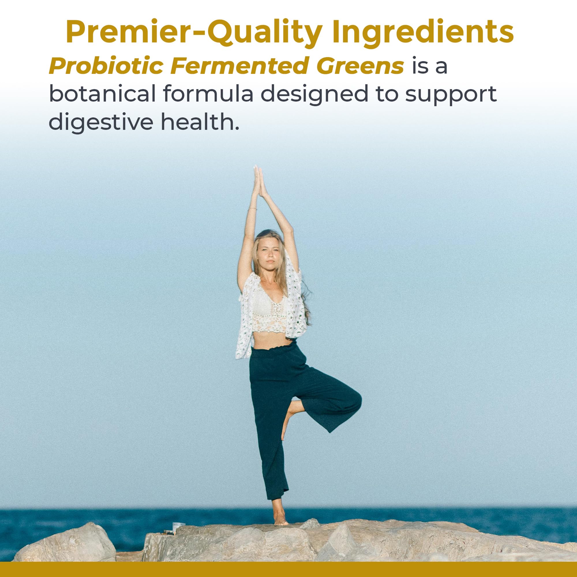 Premier Research Labs Probiotic Fermented Greens - Super Greens Supplement, Superfood Blend, Organic Vitamins with Probiotic - Daily Greens with Spinach, Chlorella, & More - 150 Powder Filled Capsules Premier Research Labs buy supplements canada