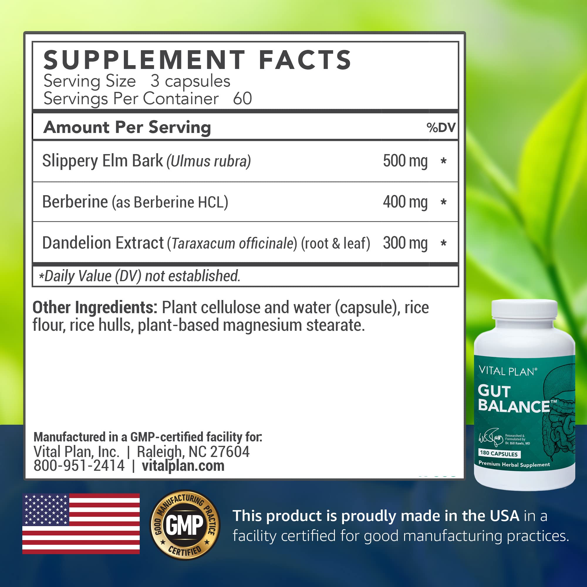 Vital Plan Gut Balance Supplement by Dr. Bill Rawls - Advanced Digestive Health Support Formula w/Clinical-Grade Slippery Elm Bark, Berberine & Dandelion Extract for Women & Men (180 Capsules) Vital Plan buy supplements canada