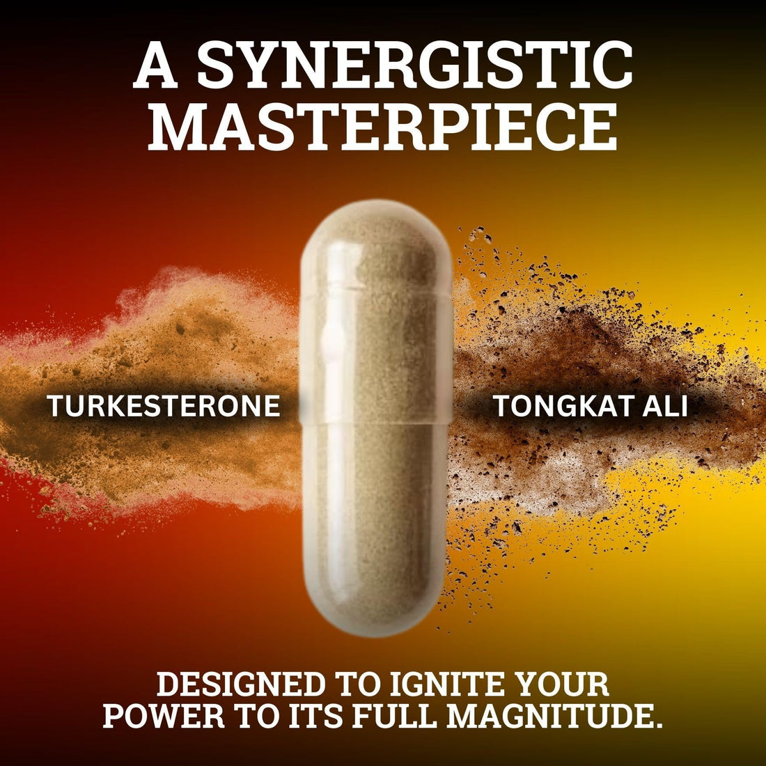 Black Forest Turkesterone Tongkat Ali Supplement 1000mg per Serving (Max Purity 95%) Turkesterone Supplement for Men (Tongkat Ali for Men Longjack 200:1) Similar to Tongkat Ali Fadogia Agrestis Black Forest buy supplements canada