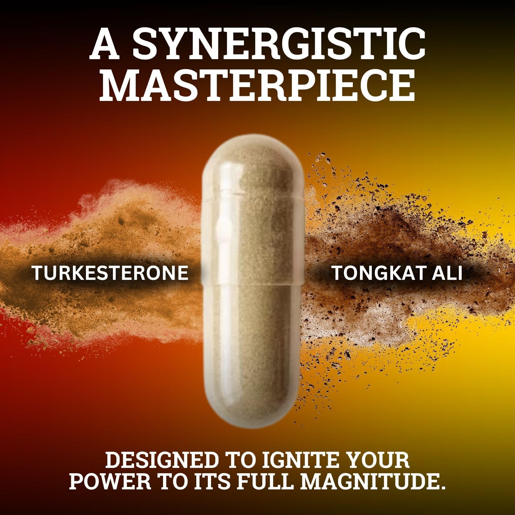 Black Forest Turkesterone Tongkat Ali Supplement 1000mg per Serving (Max Purity 95%) Turkesterone Supplement for Men (Tongkat Ali for Men Longjack 200:1) Similar to Tongkat Ali Fadogia Agrestis Black Forest buy supplements canada