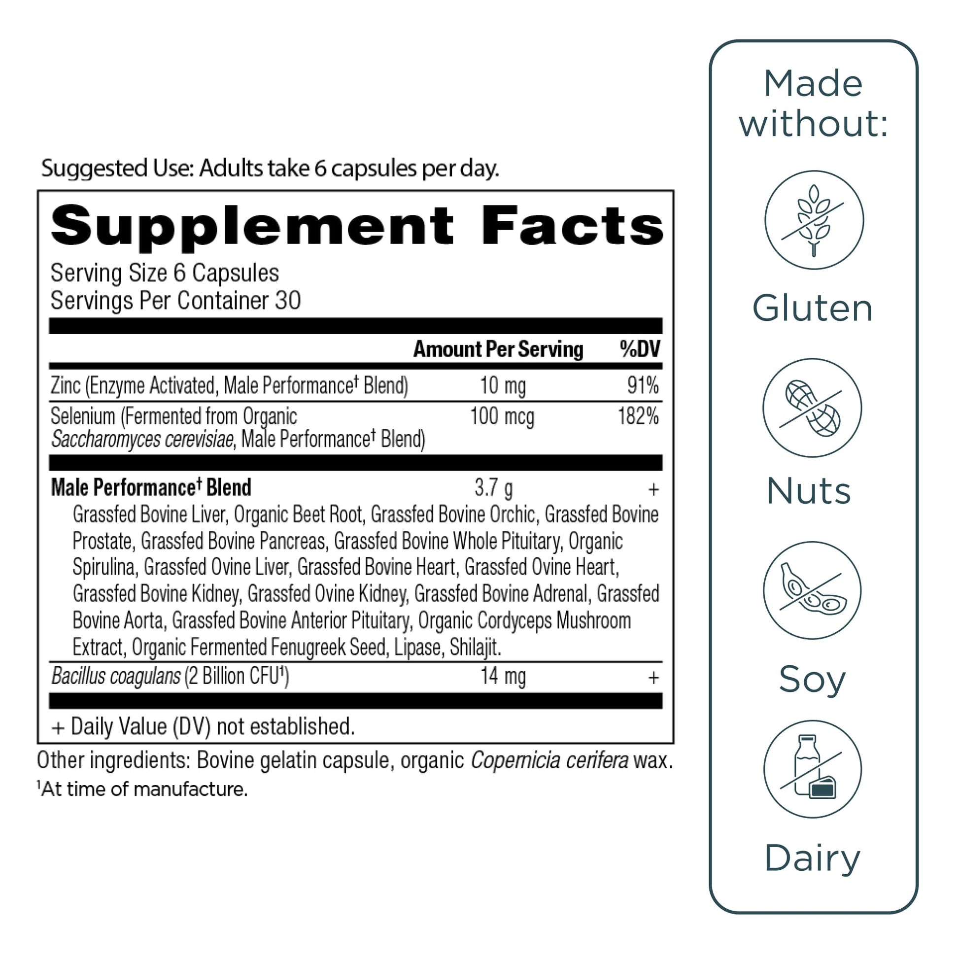 Ancient Nutrition Organ Supplements for Men, Grass-Fed and Wild Organ Complex Capsules, Liver, Prostate, Pancreas Supports Male Performance, Healthy Aging, 180 Ct Ancient Nutrition buy supplements canada