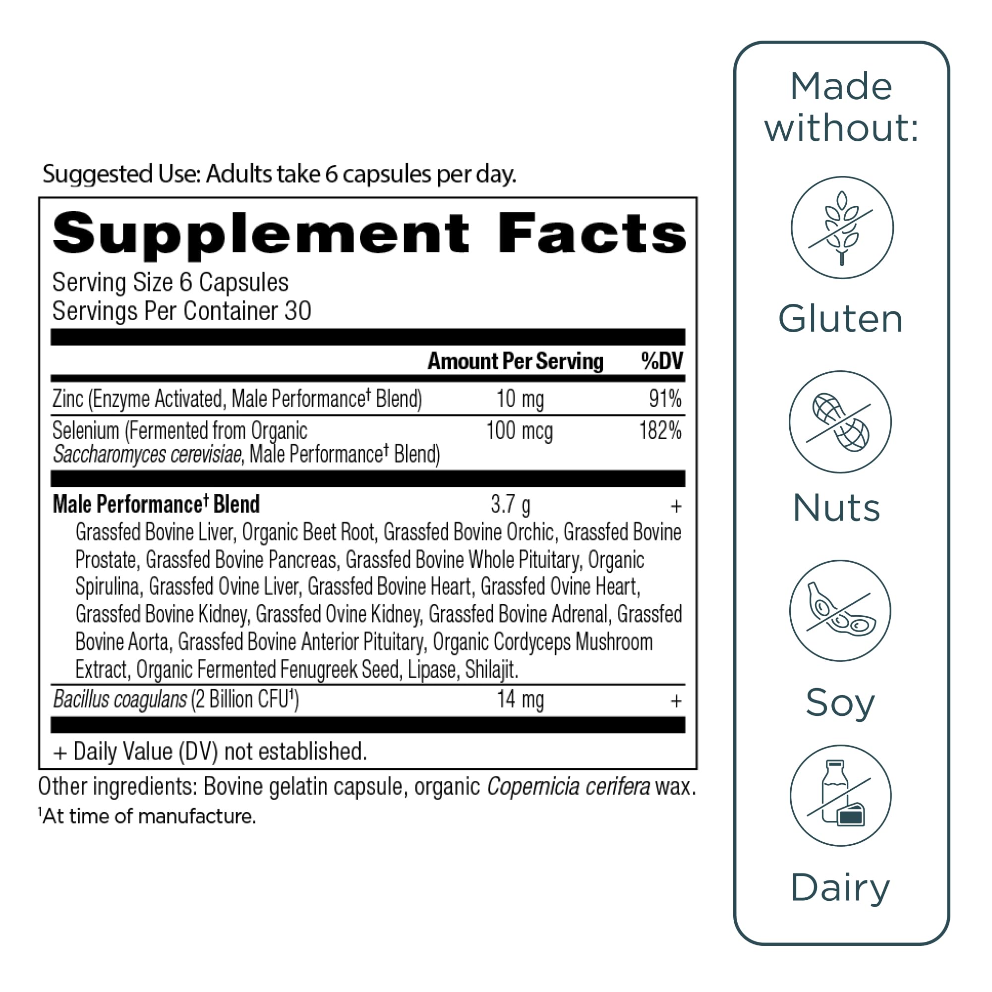 Ancient Nutrition Organ Supplements for Men, Grass-Fed and Wild Organ Complex Capsules, Liver, Prostate, Pancreas Supports Male Performance, Healthy Aging, 180 Ct Ancient Nutrition buy supplements canada