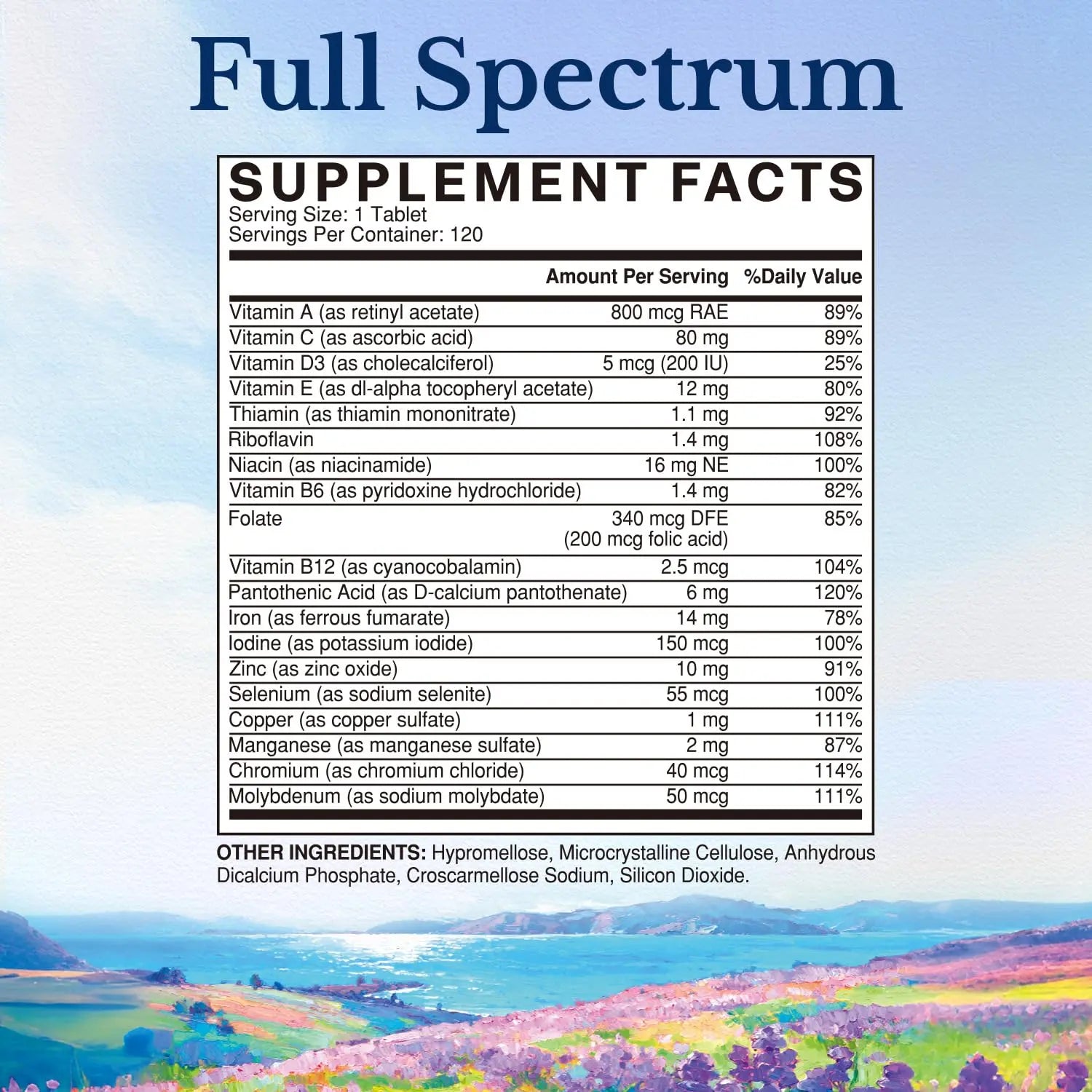 Vitalitown Multivitamin for Women & Men, with Iron, Zinc, Vitamin D3, A, C, B, E, 19 Key Nutrients, One Per Day Vitalitown buy supplements canada