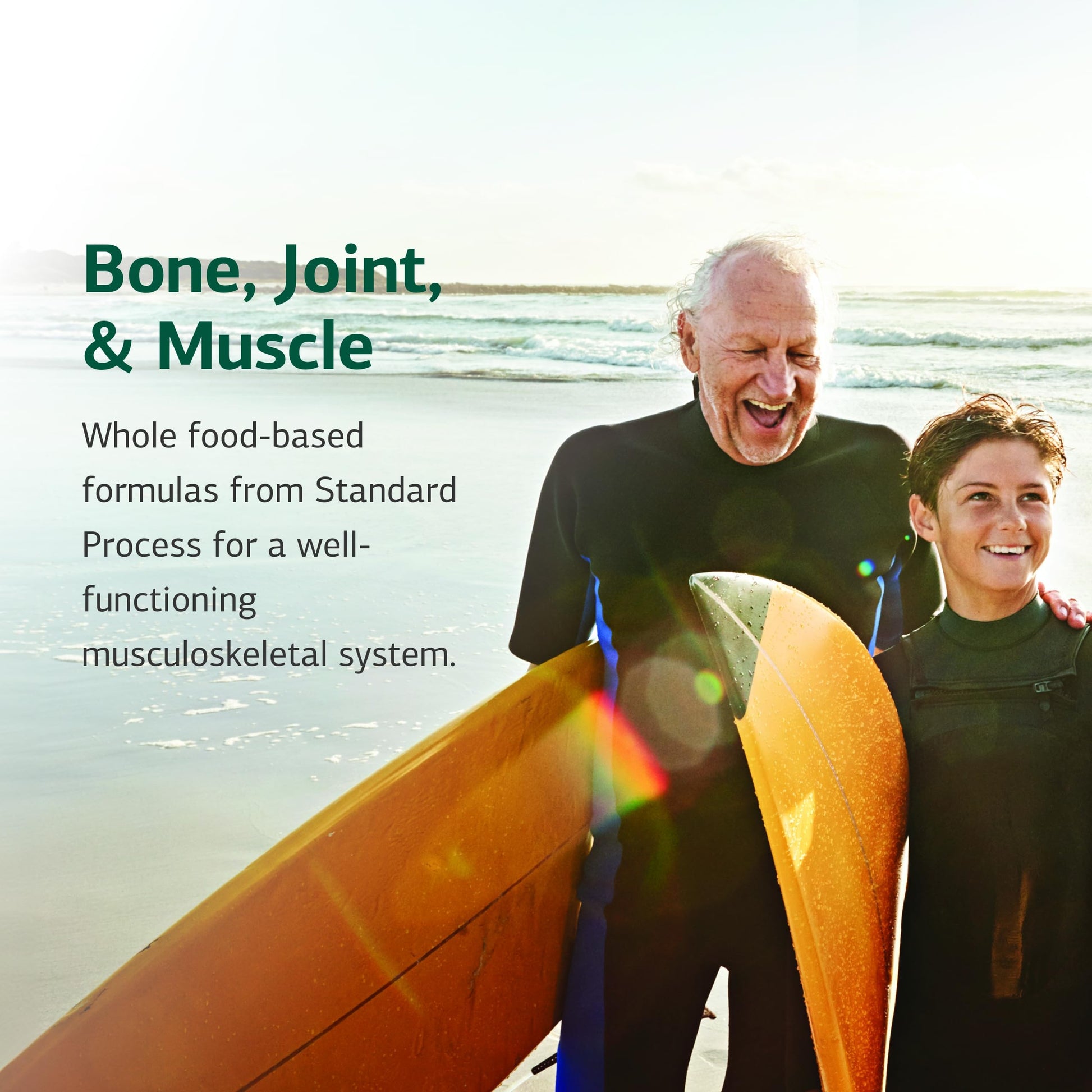 Standard Process Ostarplex - Dietary Supplement for Connective Tissue Health - Aids Liver Health & Function - Contains Vitamin B6 - Non-Dairy - 90 Capsules (90 Servings) Standard Process Inc. buy supplements canada