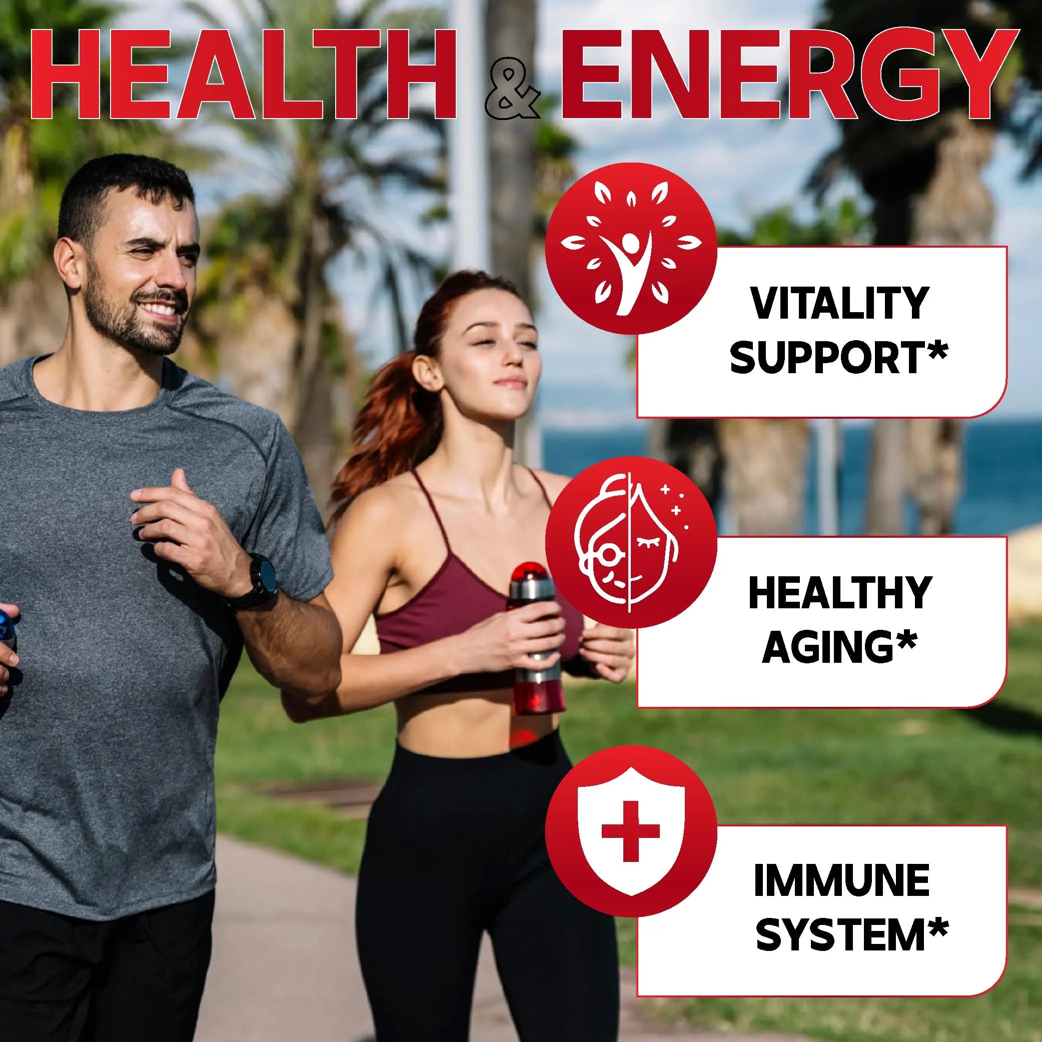 DEDICAD NAD Supplement with Nicotinamide Riboside, Trans-Resveratrol, Quercetin - Cellular Energy & Repair, Vitality, Healthy Aging - 60 Count DEDICAD buy supplements canada