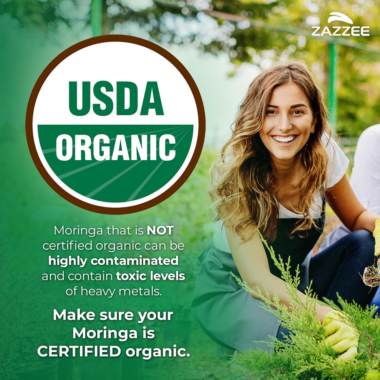 Zazzee USDA Organic Moringa Leaf 20:1 Extract, 180 Vegan Capsules, 3 Month Supply, Certified Kosher, Moringa Oleifera, Antioxidant, Immune & Cellular Support Zazzee buy supplements canada