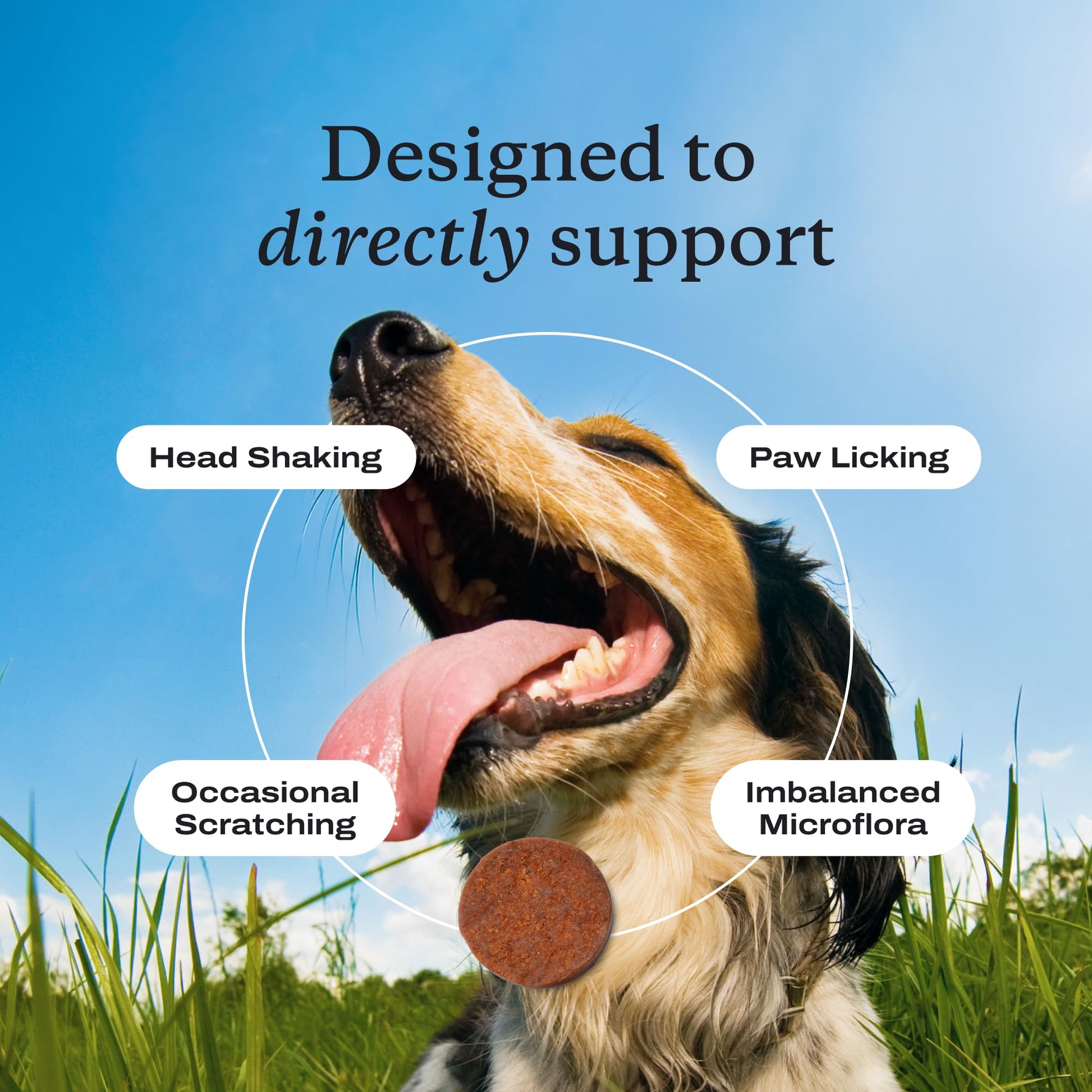 PetLab Co. Allergy & Immune Probiotics for Dogs, Support Seasonal Allergies, Gut & Digestive Health - Pork Flavor - 30 Soft Chews - Packaging May Vary PetLab Co. buy supplements canada