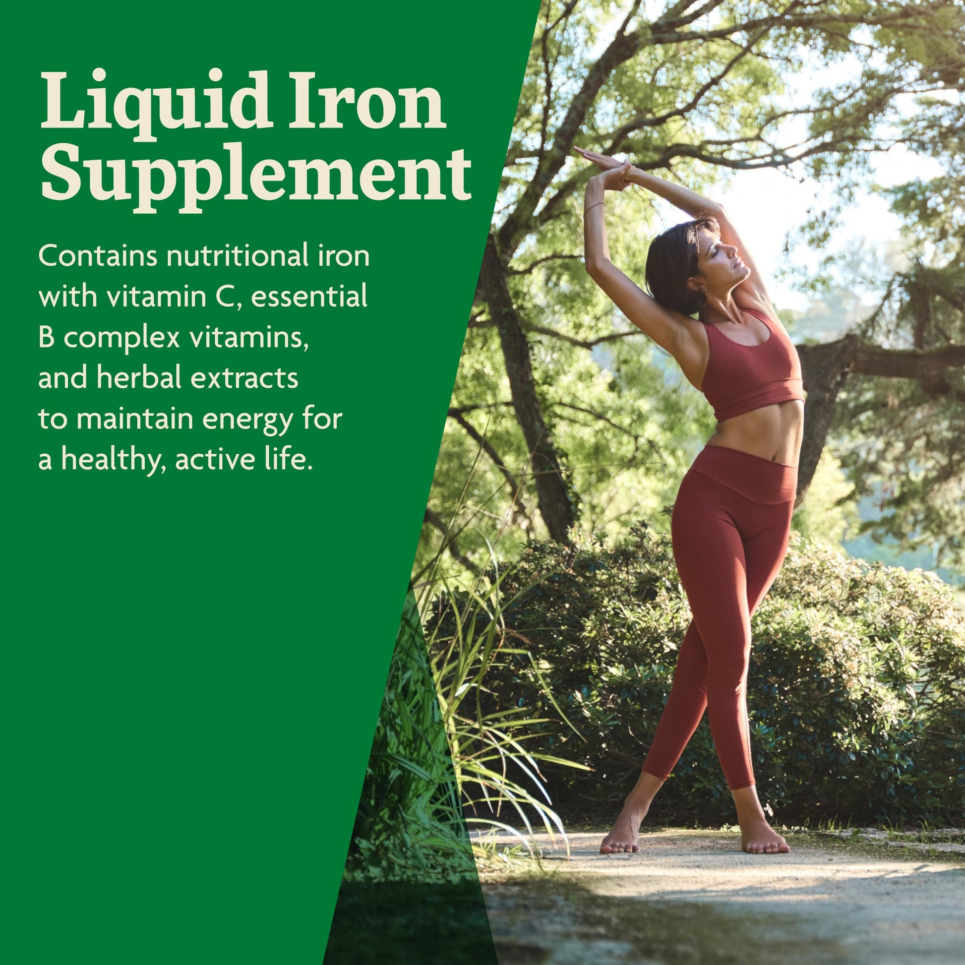 Floradix Iron & Herbs - Liquid Herbal Supplement for Energy Support - Iron Supplement with Vitamin C & Vitamin B Complex - for Men & Women - 8.5 fl oz Floradix buy supplements canada