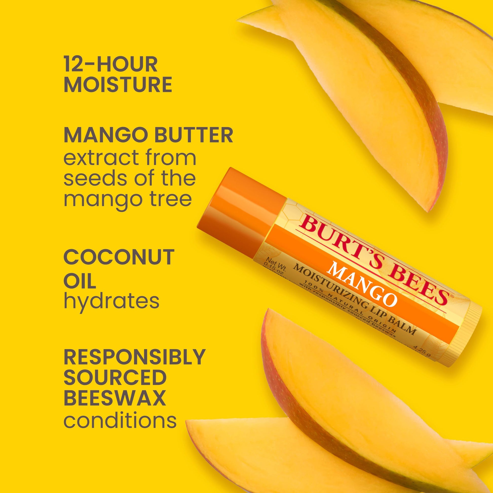 Burt's Bees 100% Natural Moisturizing Lip Balm (Superfruit) Burt's Bees buy supplements canada