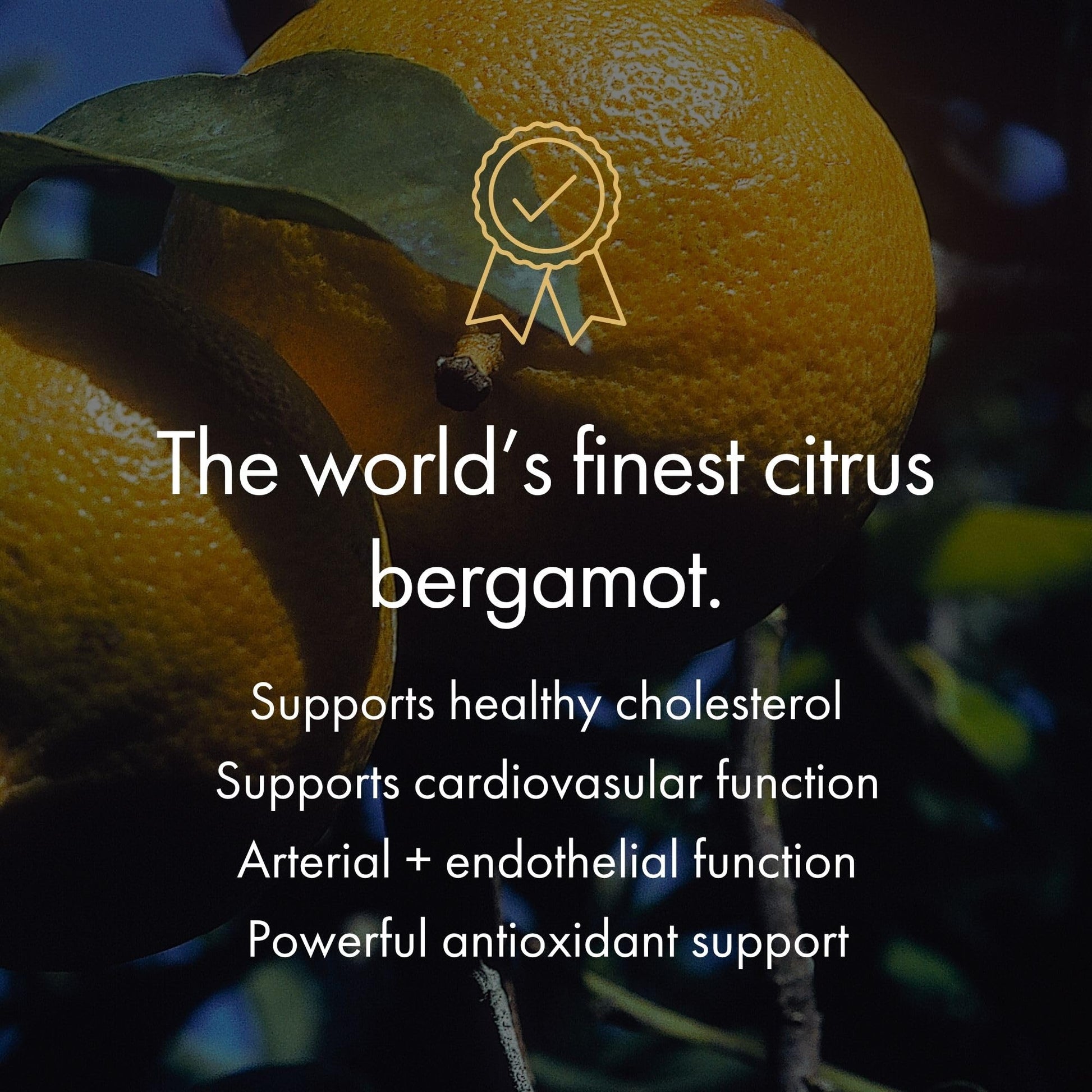 NAOMI Italian Citrus Bergamot Plus Nitric Oxide Boost, Award-Winning Cardiologist Dvlpd, Supports Healthy Cholesterol & Blood Pressure in Normal Range, with 7 Key Polyphenols, 30-Day Supply NAOMI buy supplements canada