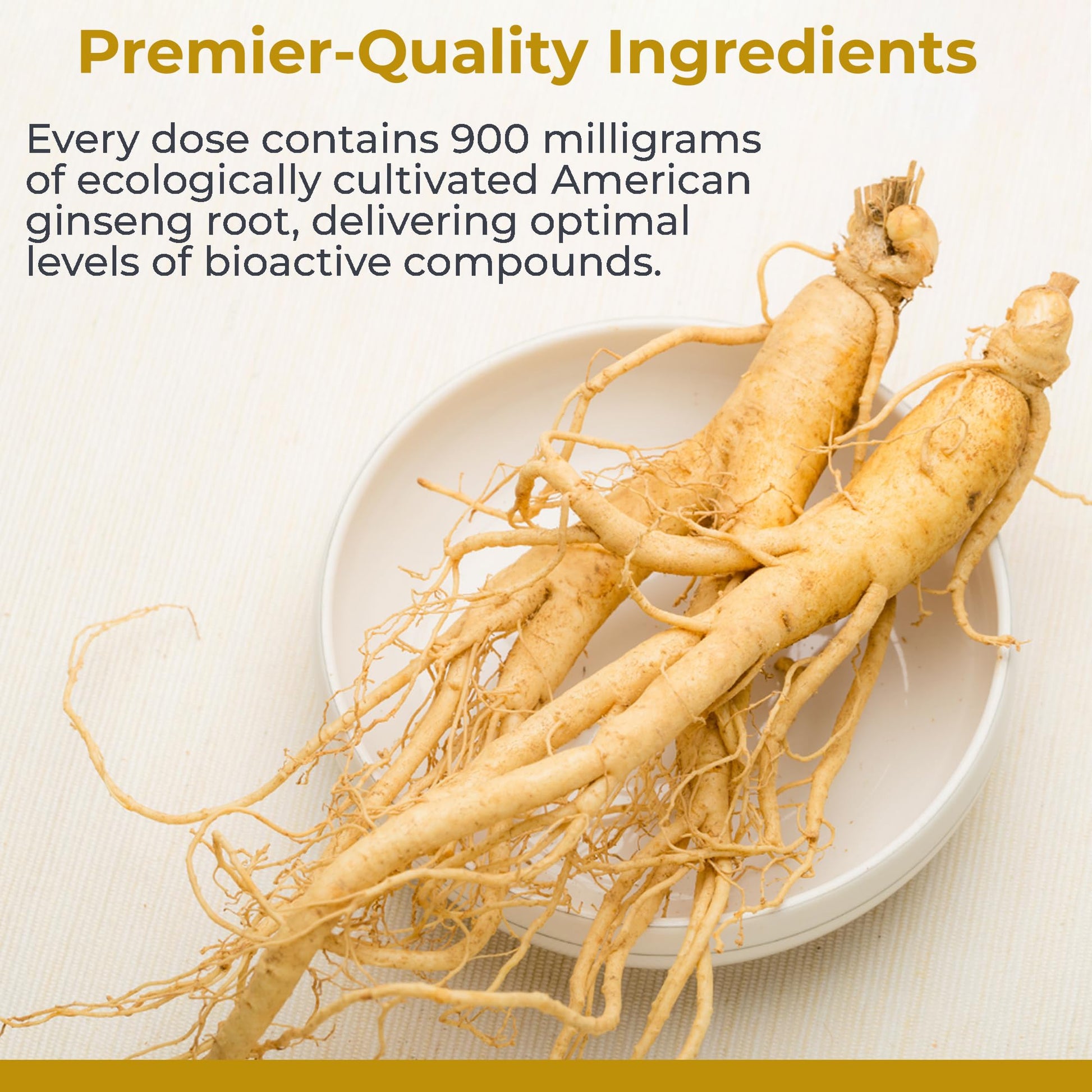 Premier Research Labs American Ginseng Supplement - American Ginseng Capsules, Herbal Ginseng Root Pills, North American Ginseng Herb Extract, Calming Energy Supplement - 60 Plant-Based Capsules Premier Research Labs buy supplements canada