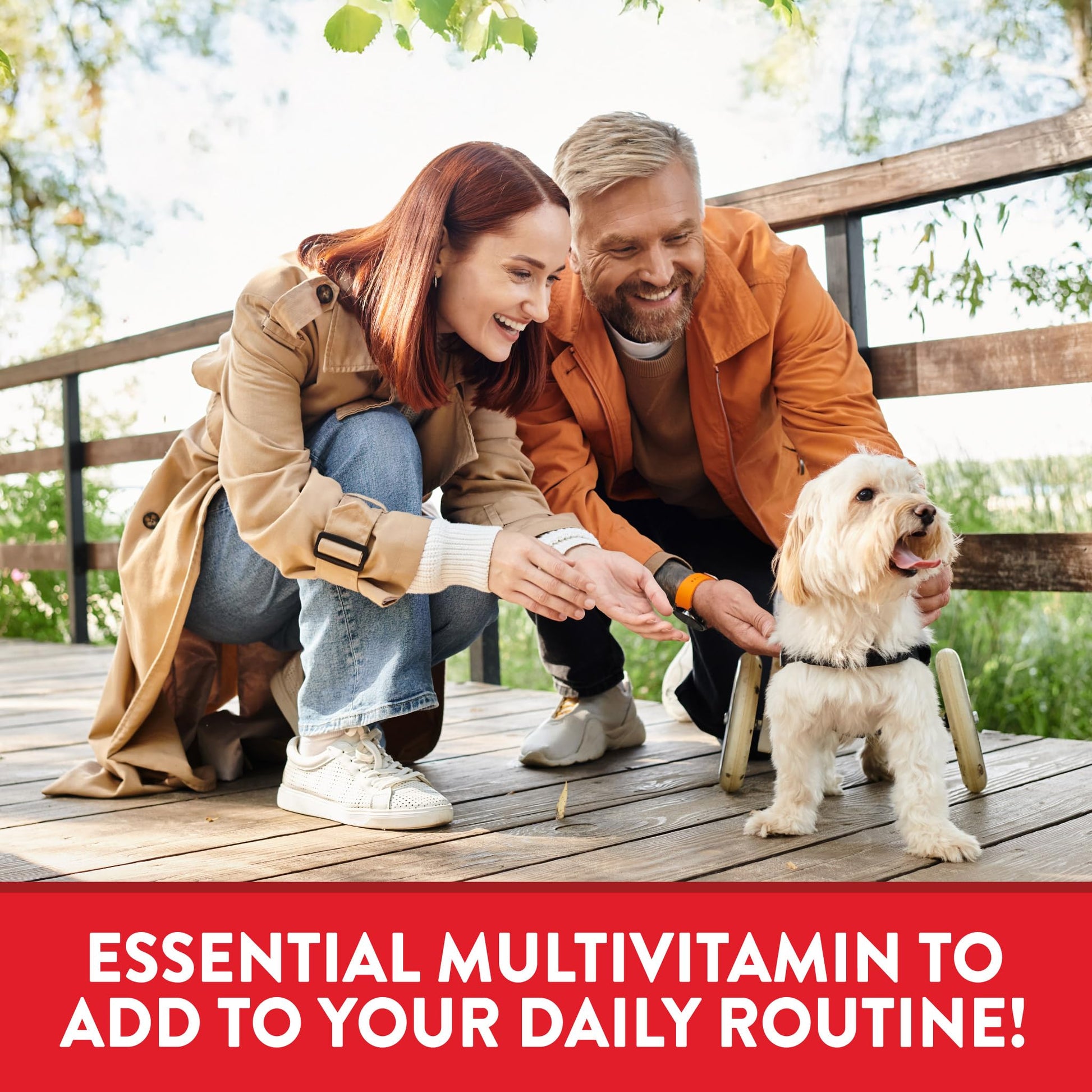 Nature's Truth One Daily Multivitamin for Men and Women | 365 Mini Tablets | Non-GMO & Gluten Free Supplement Nature's Truth buy supplements canada