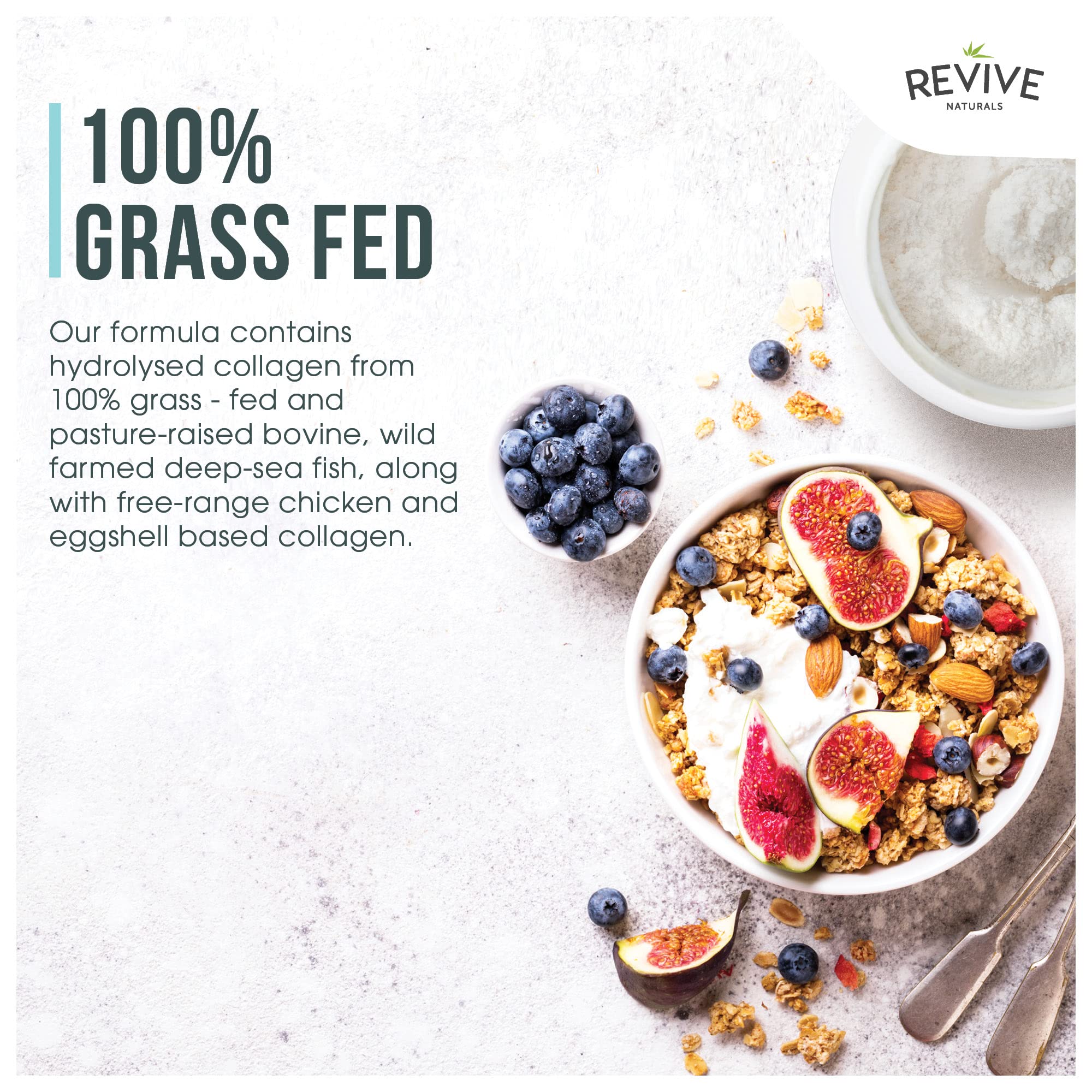 Vanilla Multi Collagen Protein Powder - 400g - Unsweetened - 5 Types of Collagen Peptides Revive Naturals buy supplements canada