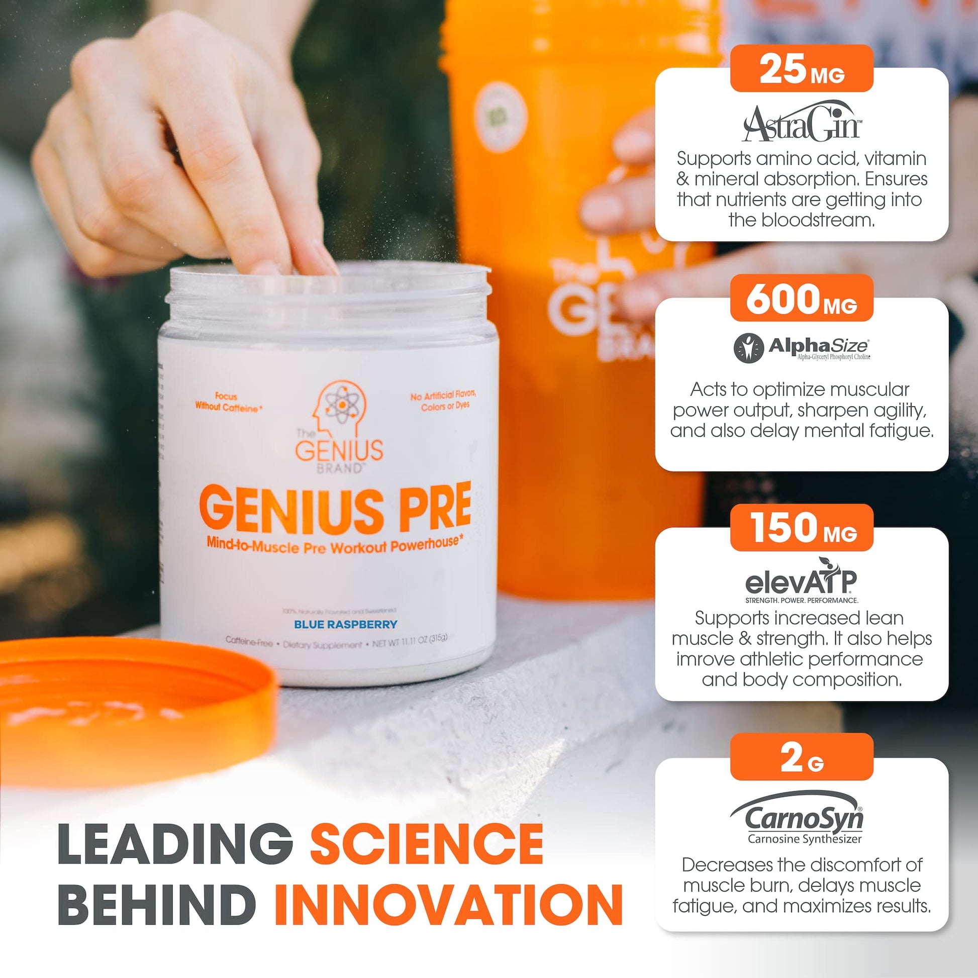 Genius Pre Workout Powder, Blue Razz, and Genius Micronized Creatine Monohydrate The Genius Brand buy supplements canada