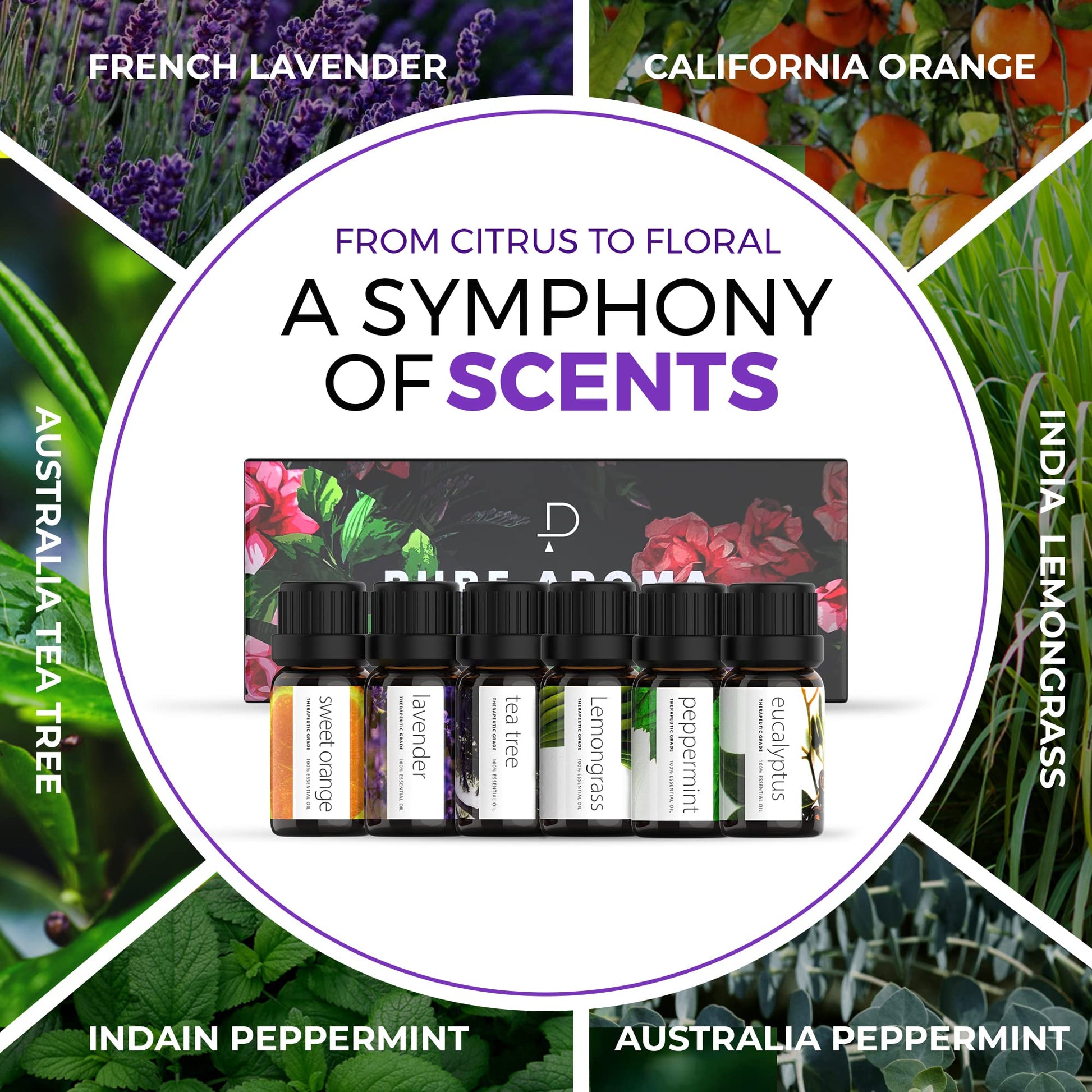 Essential Oils by PURE AROMA 100% Pure Oils kit- Top 6 Aromatherapy Oils Gift Set-6 Pack, 10ML Pure Aroma buy supplements canada