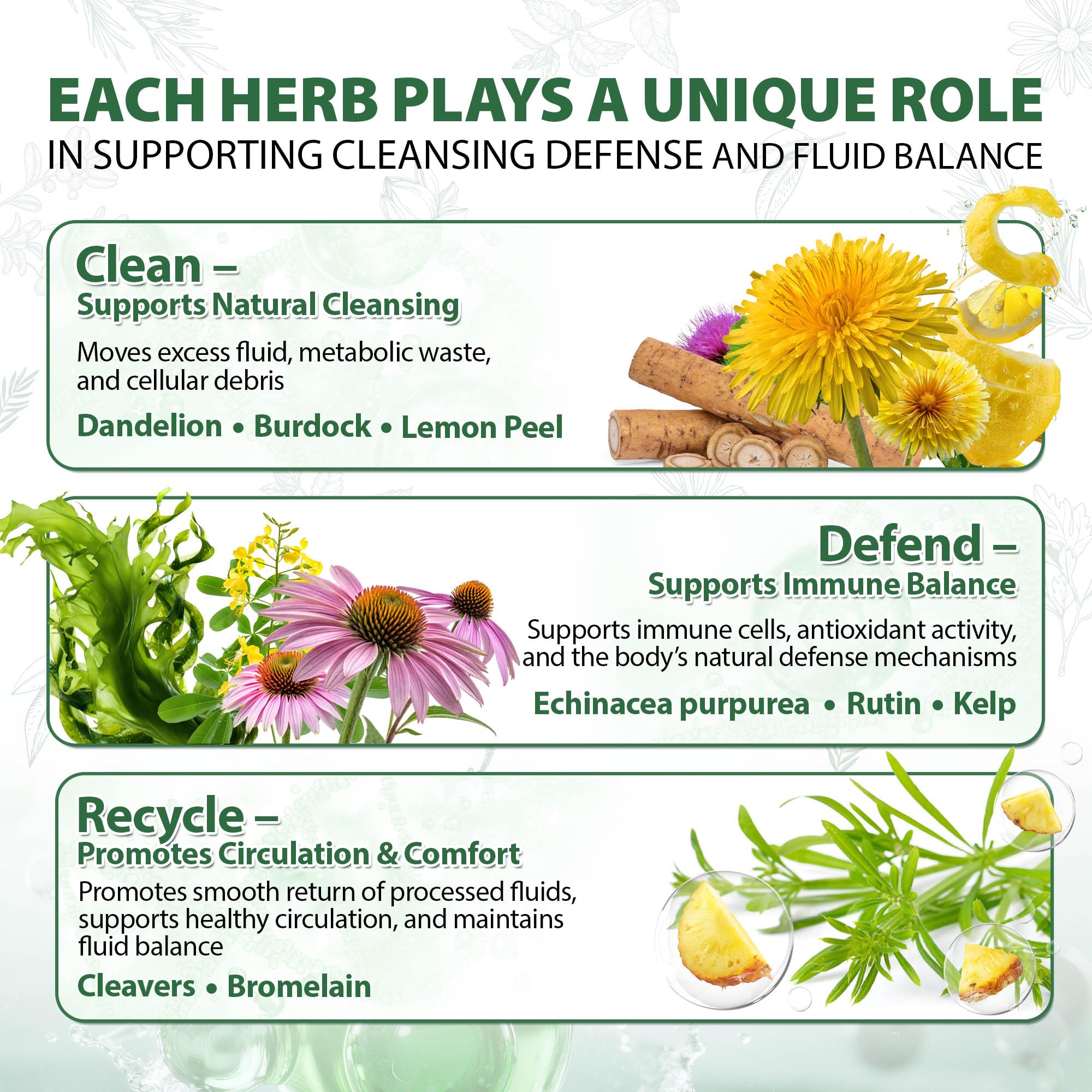 Lymphatic Drainage Capsules Natural Herbal Supplement for Immune Health & Fluid Balance, with Echinacea, Dandelion, and Burdock 60 Capsules Kaseano buy supplements canada