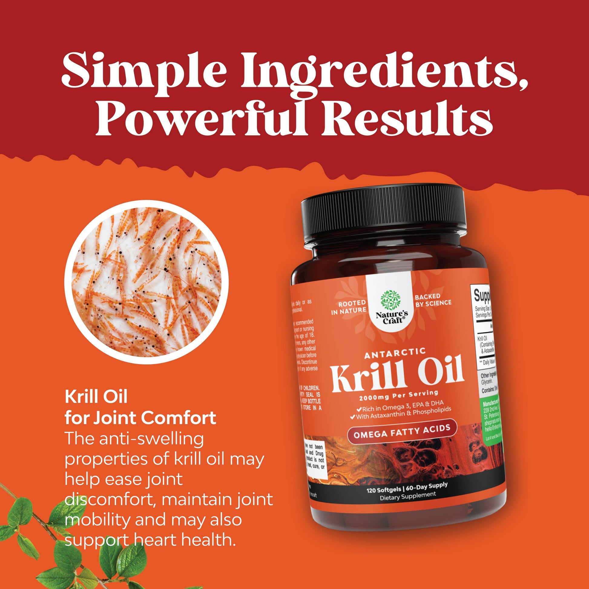 Antarctic Krill Oil 2000mg Softgels Per Serving - Omega 3 Krill Oil Supplement Natures Craft buy supplements canada