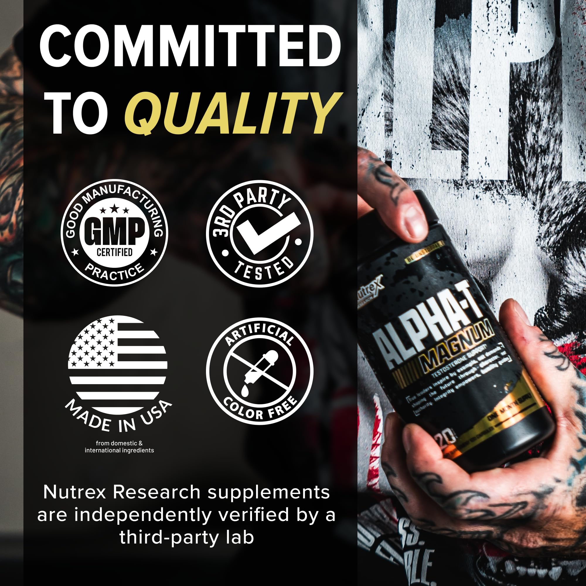 Nutrex Research Alpha-T Magnum Testosterone Support for Men | Anabolic Supplement with Tongkat Ali, Fadogia Agrestis, Shilajit and Ashwagandha | Muscle Builder for Strength, Growth & Hormone Balance Nutrex Research buy supplements canada