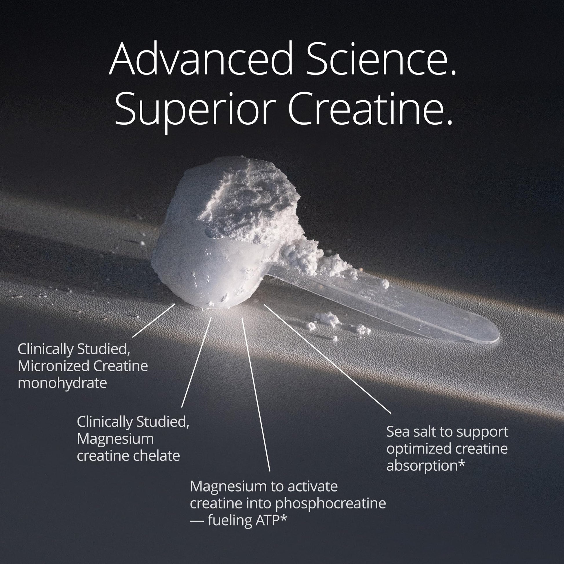Qualia Creatine | Advanced Creatine Complex | 2 Sources + Magnesium | Optimized Absorption | Muscle Performance, Brain Function, & Healthy Aging QUALIA LIFE SCIENCES buy supplements canada